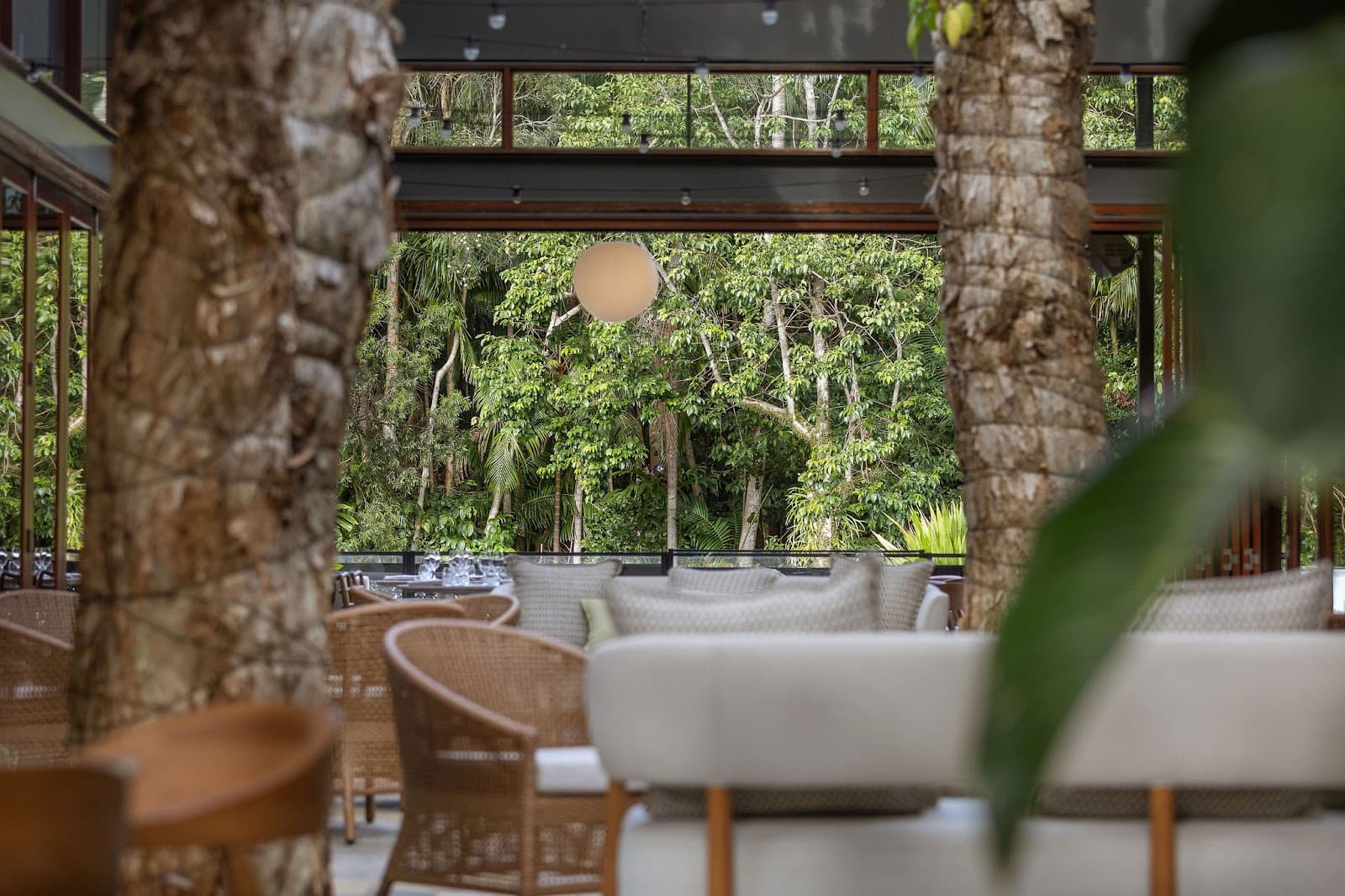 Forest Byron Bay — Suffolk Park, Byron Bay