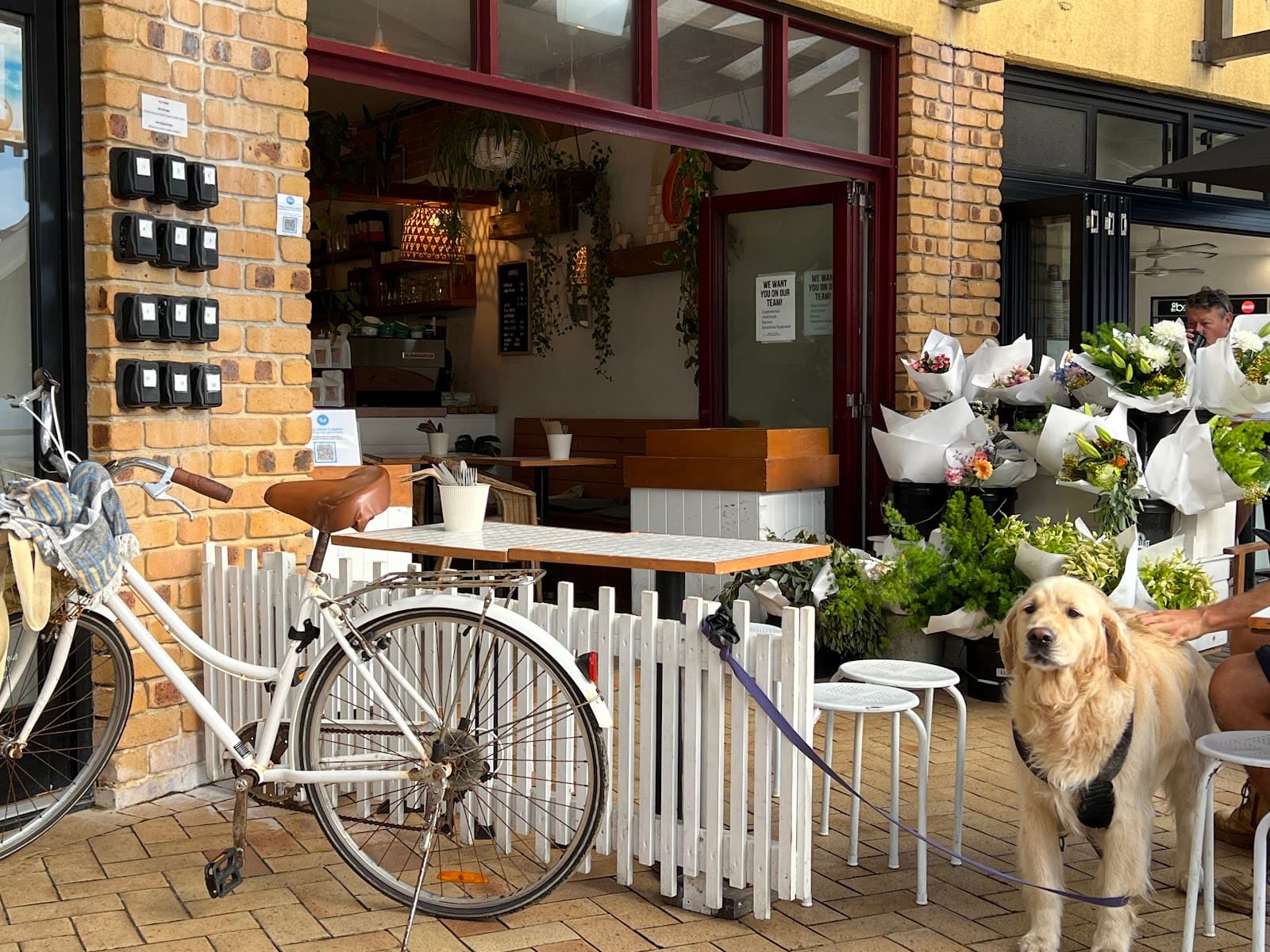 Papaya — Lennox Head, Byron Bay