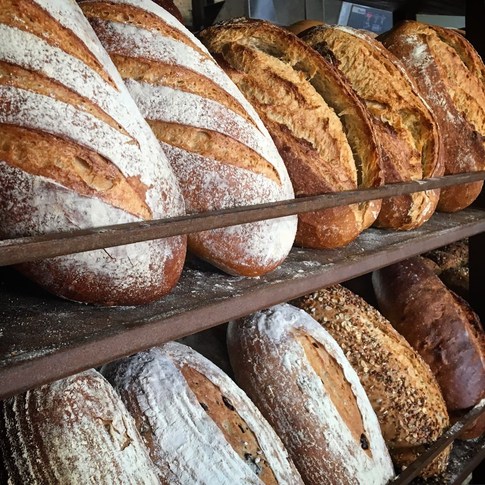 Bruns Bakery — Brunswick Heads, Byron Bay