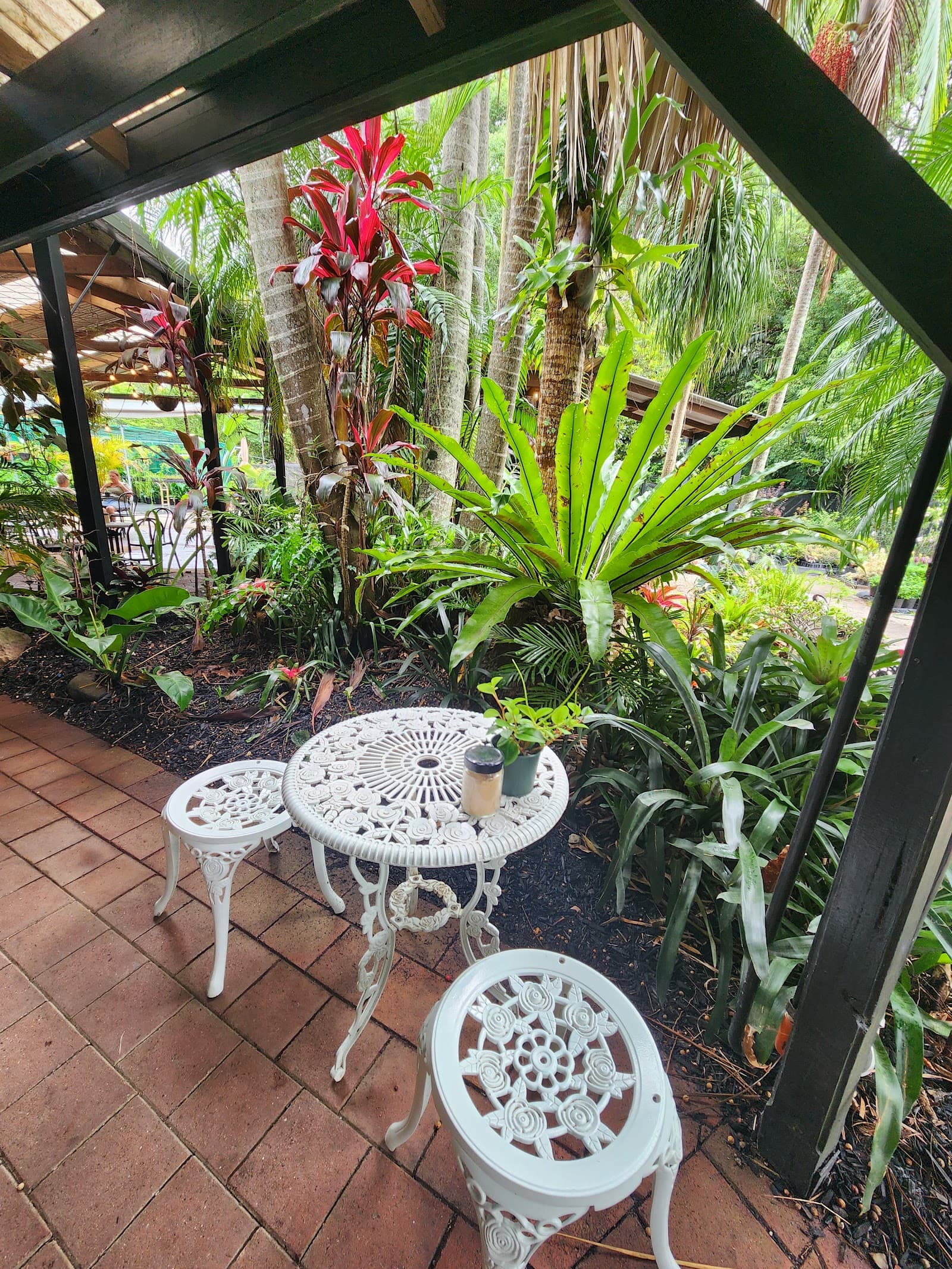 Tayzies — Mullumbimby, Byron Bay