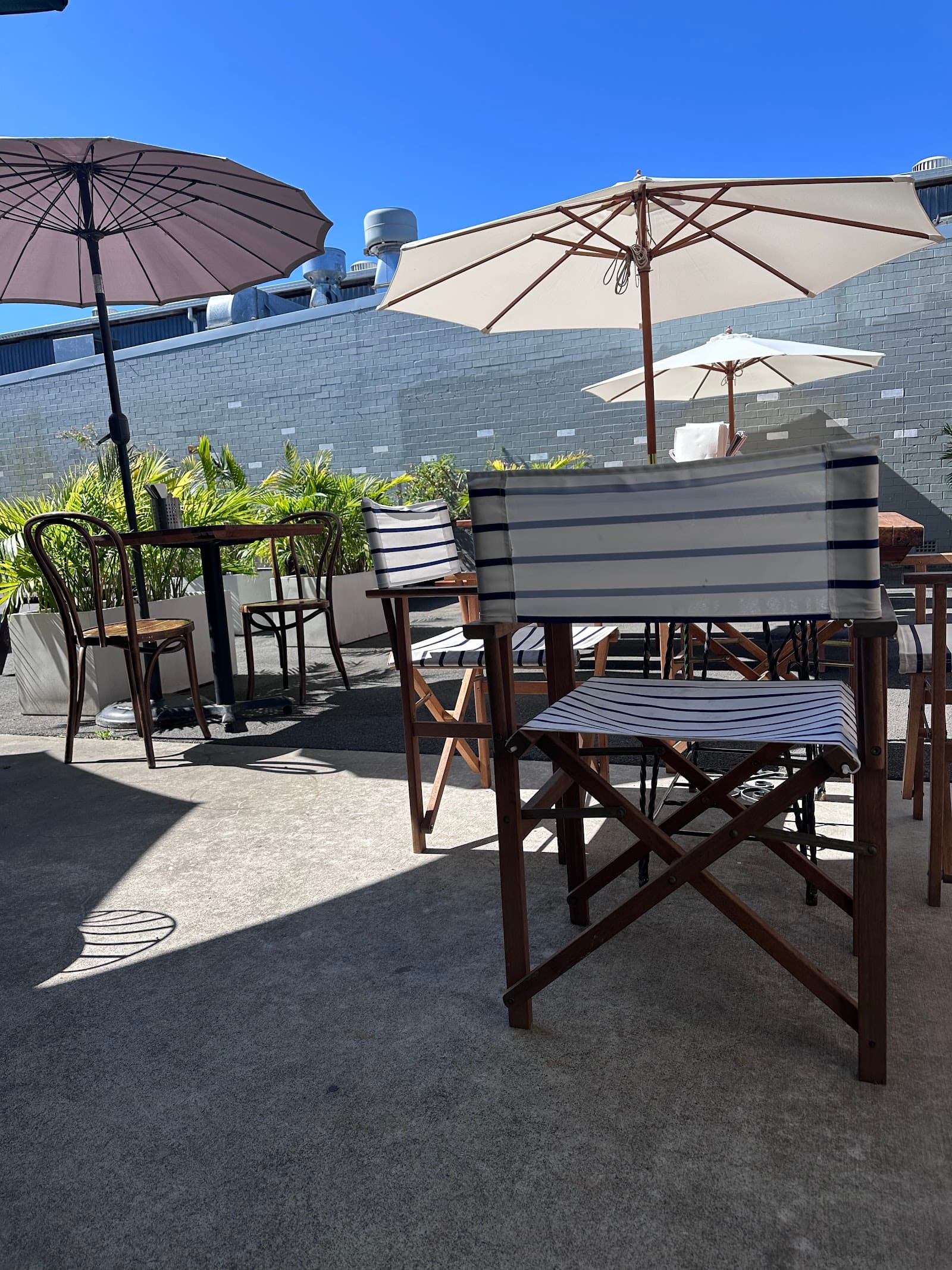 Bacco - More Than Wine — Mullumbimby, Byron Bay