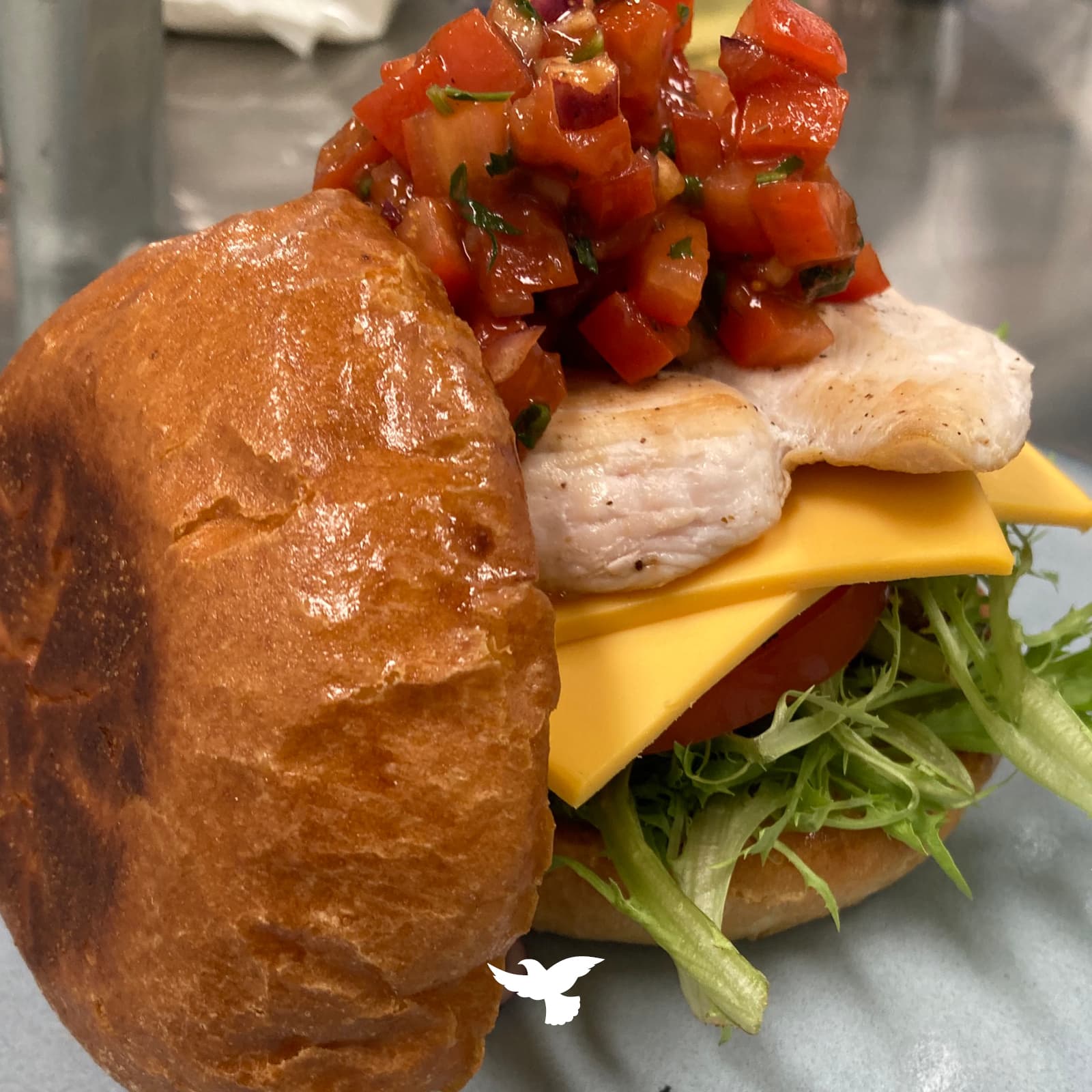 The Dove Ballina — Ballina, Byron Bay