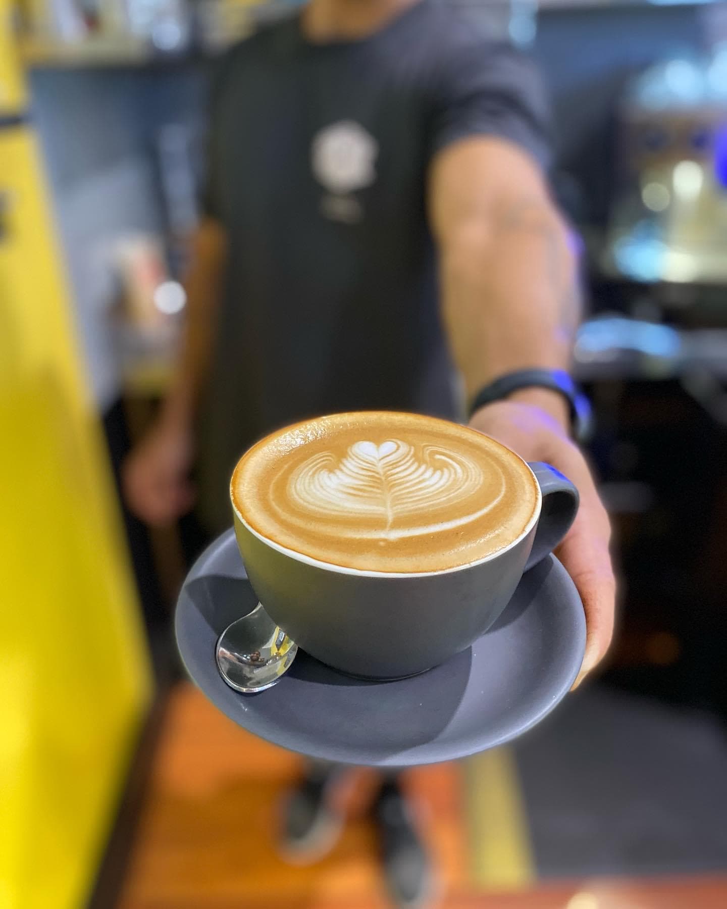 Swish Cafe — Ballina, Byron Bay