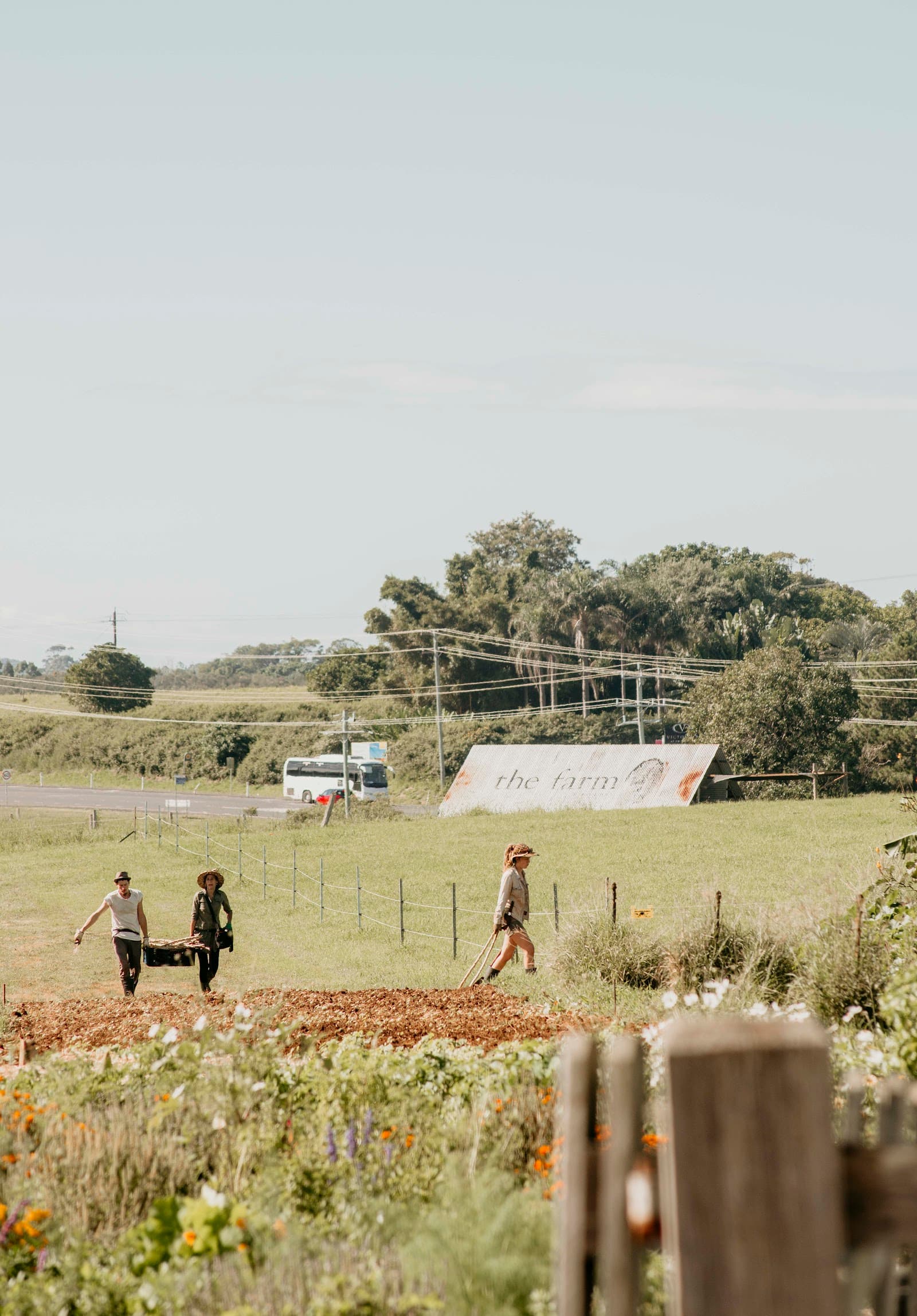 The Farm Byron Bay — Ewingsdale, Byron Bay