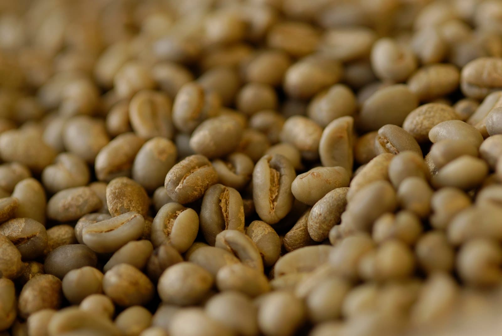 Zentveld's Coffee — Newrybar, Byron Bay