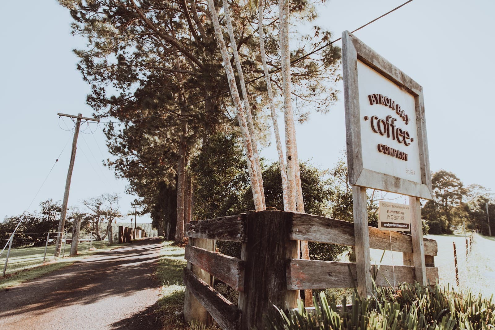 Byron Bay Coffee Company. — Newrybar, Byron Bay