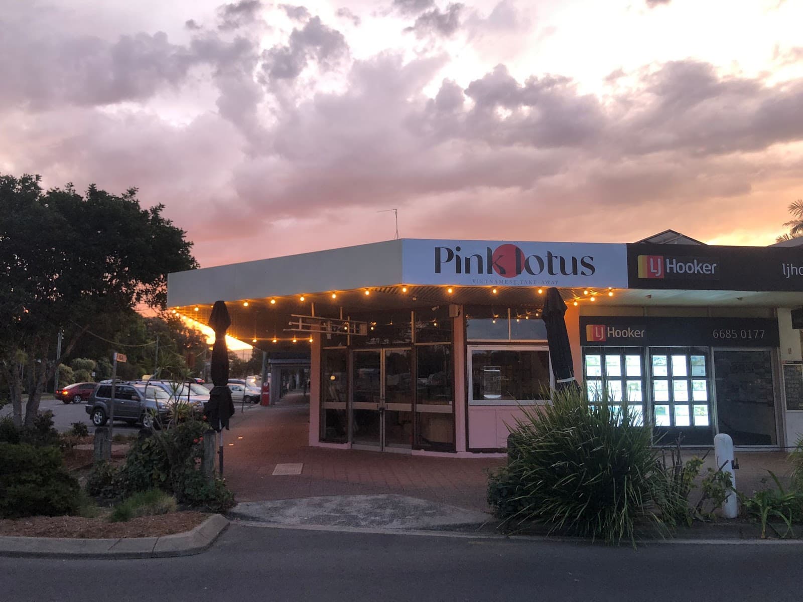 Pink Lotus brunswick heads — Brunswick Heads, Byron Bay