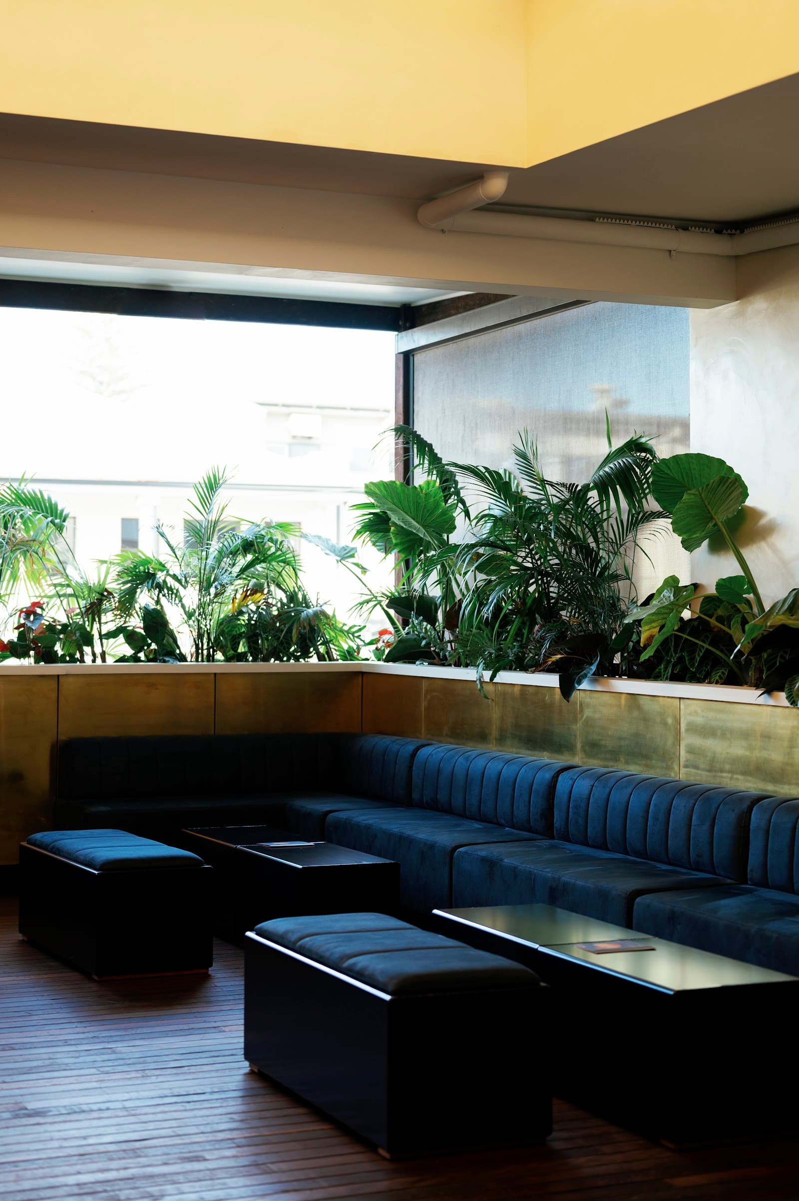 Paradiso Music Room — Ocean Shores, Byron Bay