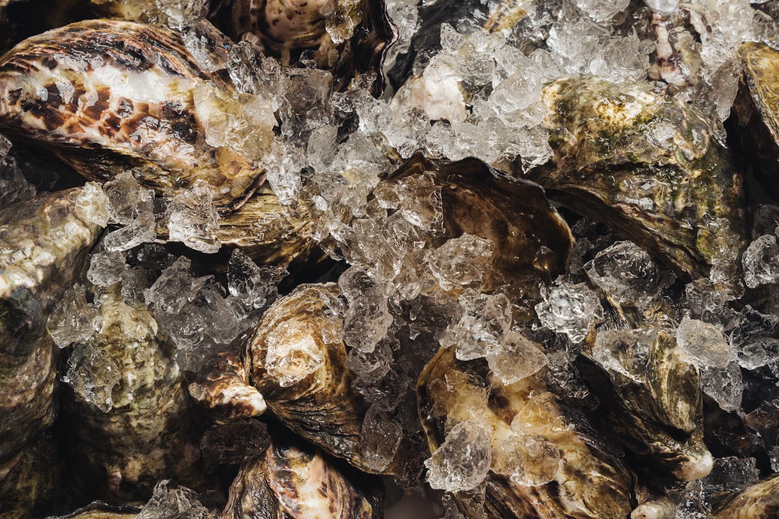 Byron Bay Oyster Bar & Seafood Restaurant — Ocean Shores, Byron Bay