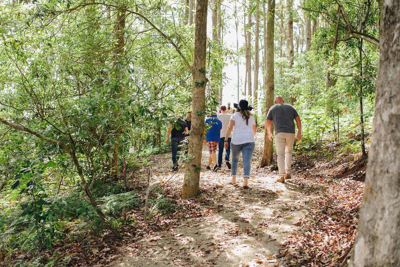 Cape Byron Distillery — Ocean Shores, Byron Bay