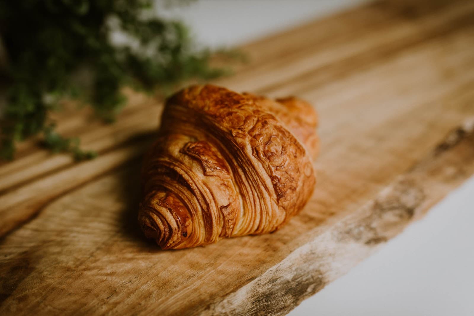 Bake my Life, Bakery Cafe — Ballina, Byron Bay