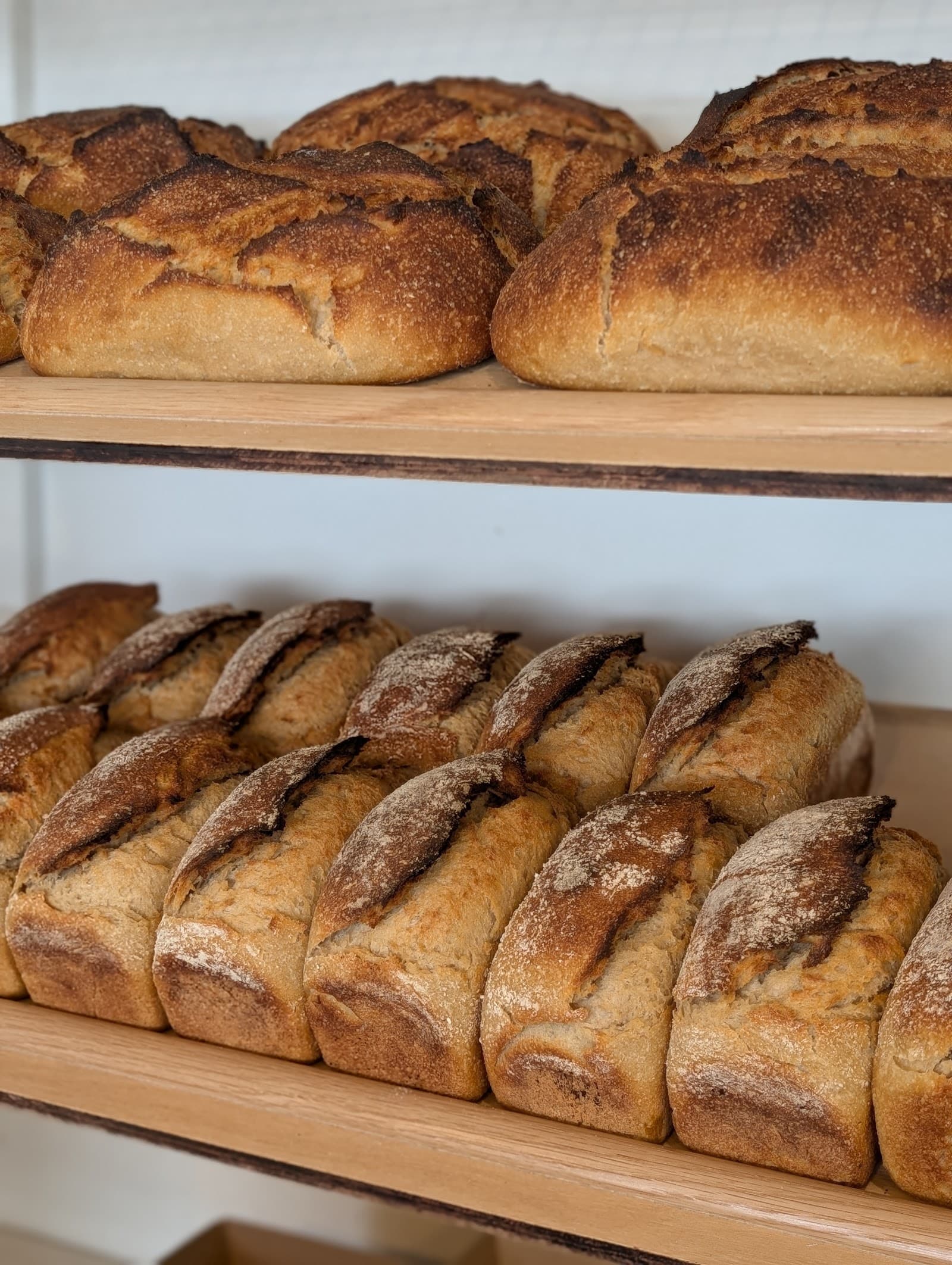 Mabel Bakery — Ballina, Byron Bay