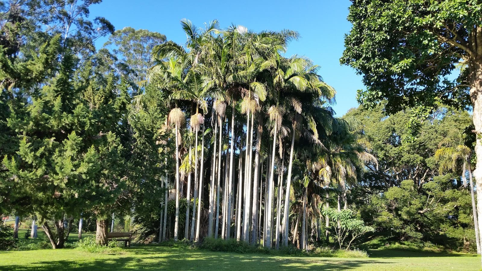 Bangalow Heritage House Museum — Ocean Shores, Byron Bay