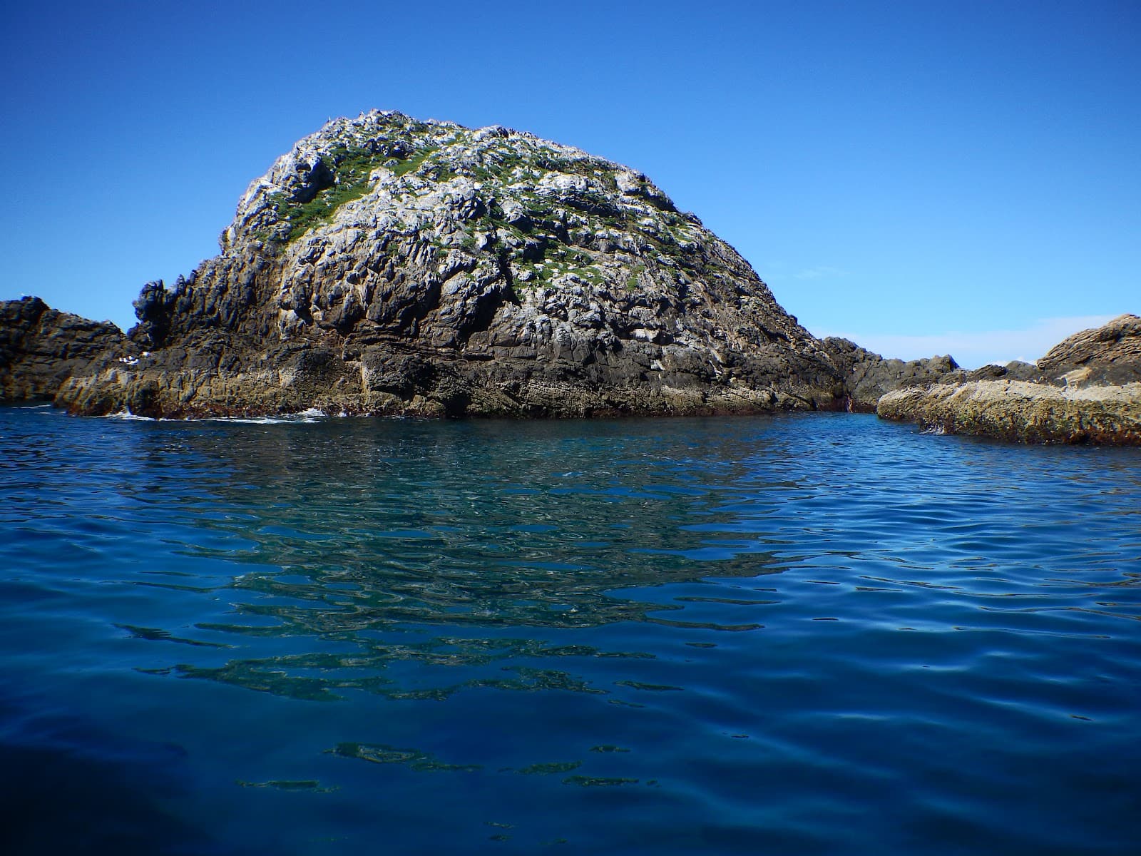 Nguthungulli Julian Rocks Nature Reserve — Ocean Shores, Byron Bay