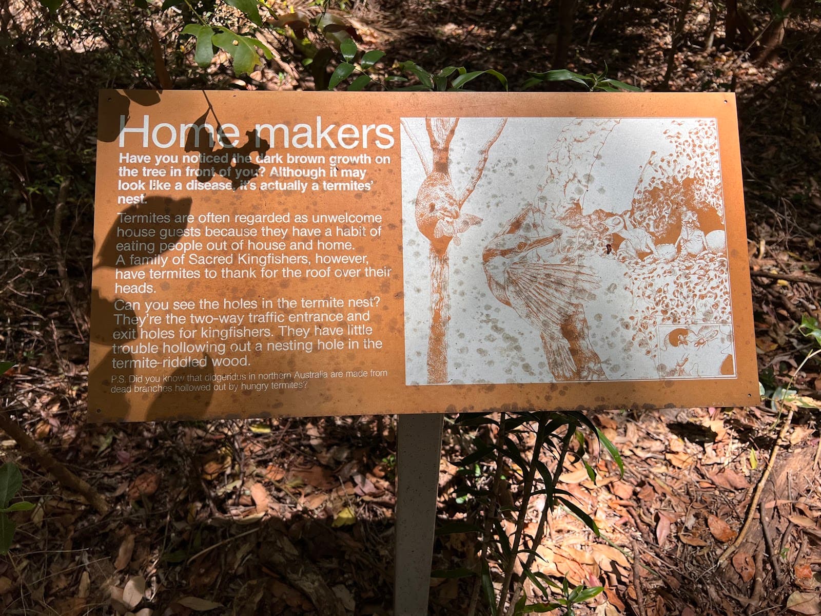 Aboriginal Museum — Bangalow, Byron Bay
