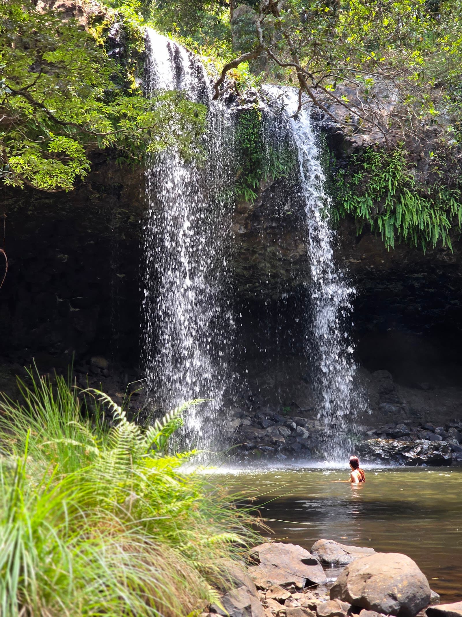 Killen Falls — Newrybar, Byron Bay