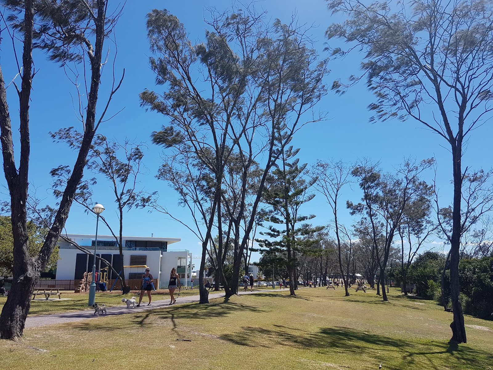 Dening Park — Newrybar, Byron Bay