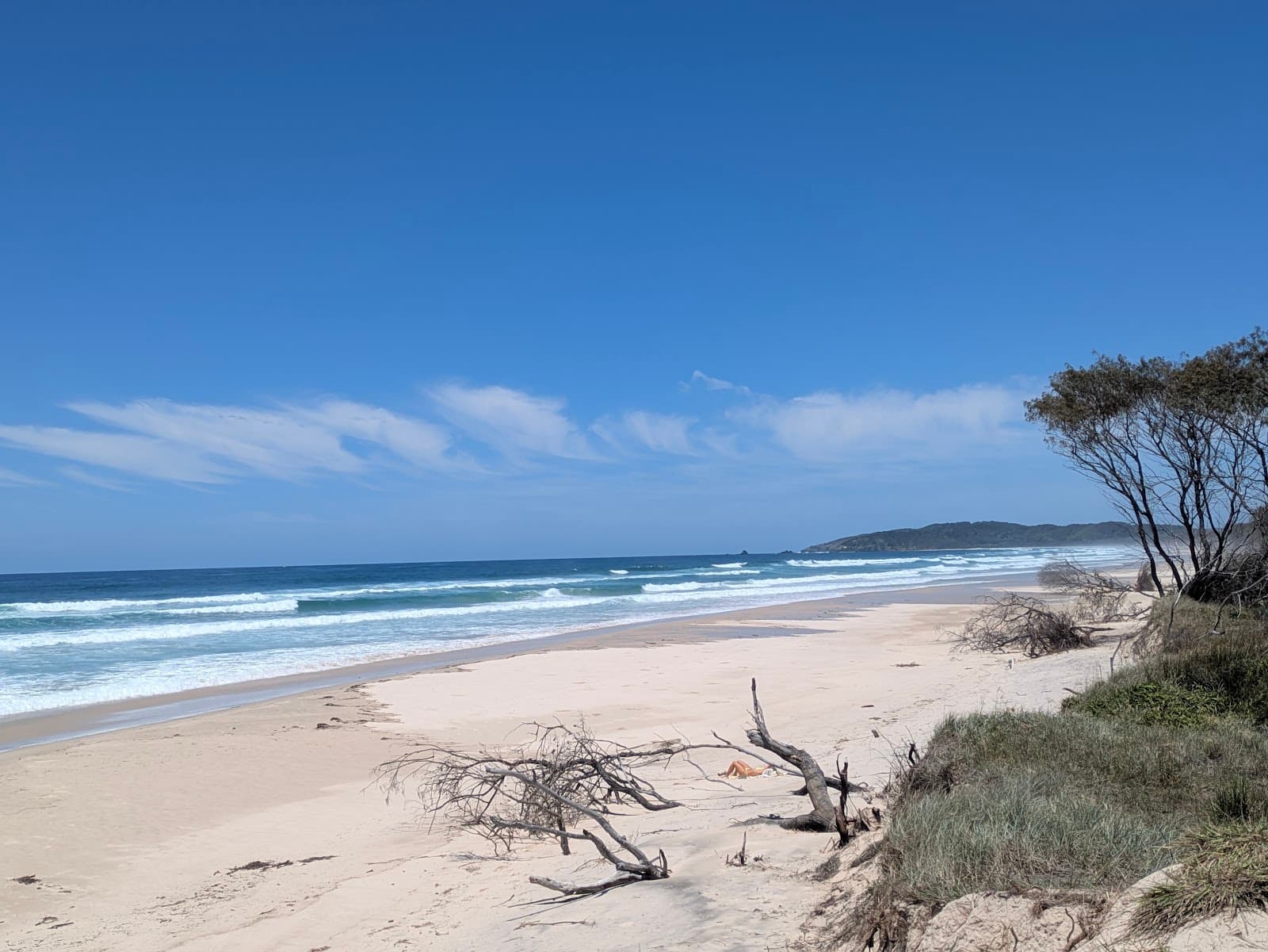 Arakwal National Park — Newrybar, Byron Bay