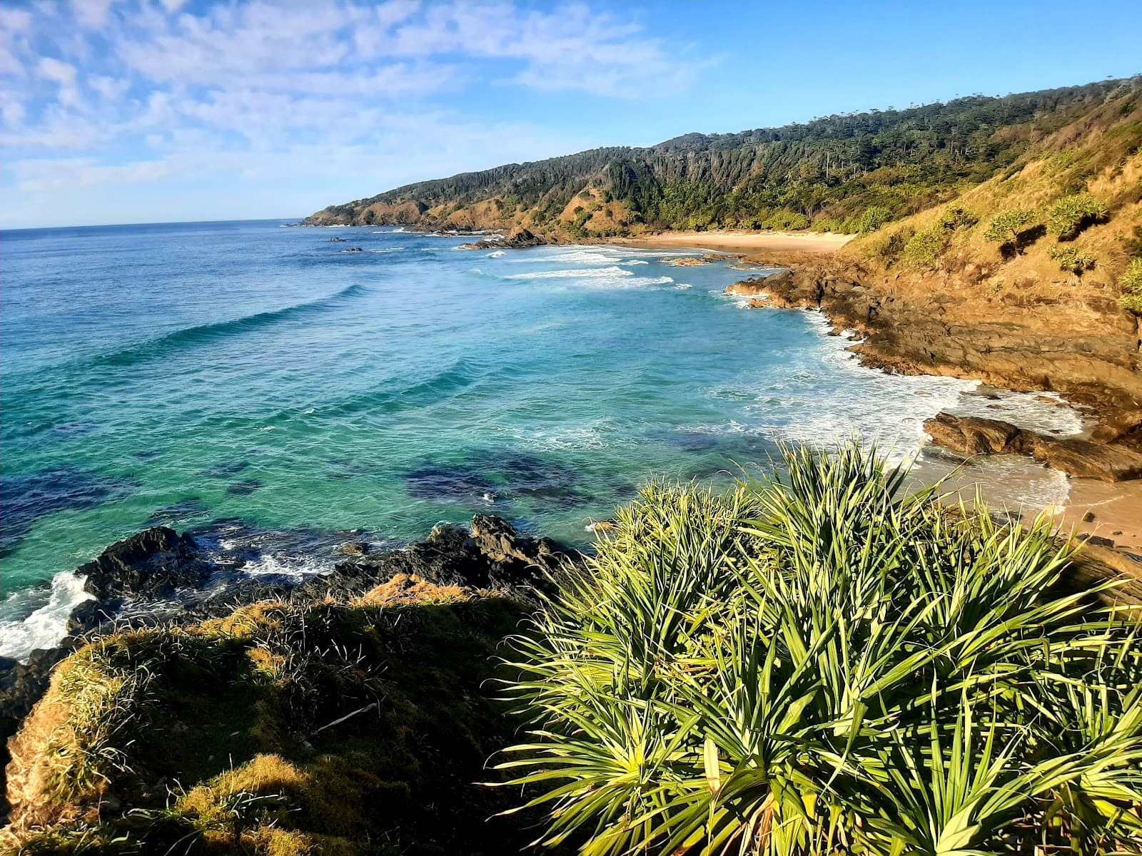 Broken Head Nature Reserve — Newrybar, Byron Bay