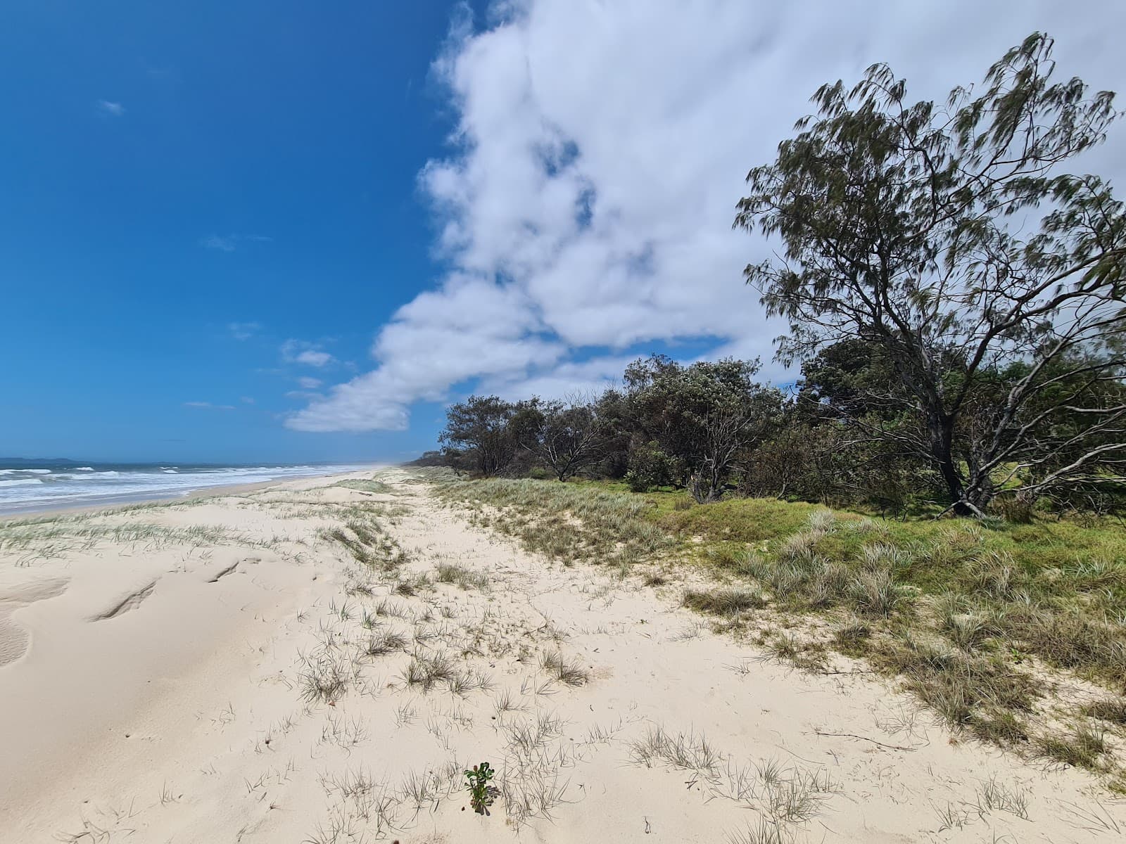 Tyagarah Nature Reserve — Newrybar, Byron Bay