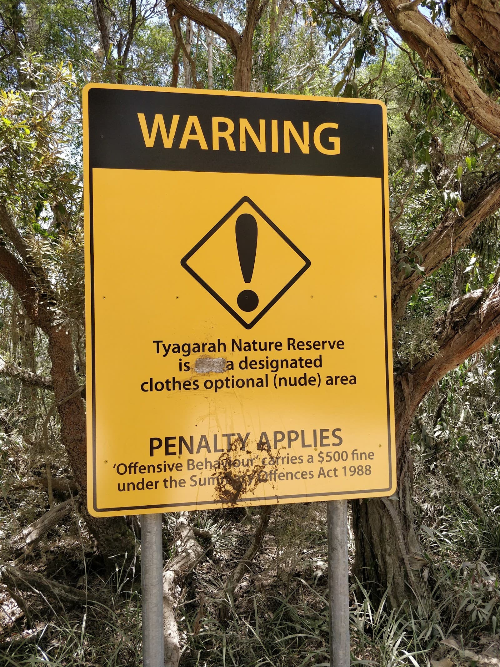 Tyagarah Nature Reserve — Newrybar, Byron Bay