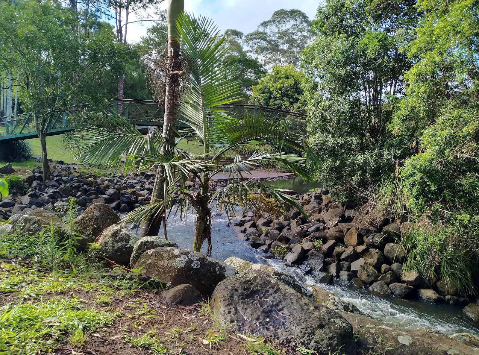 Piccabeen Park — Newrybar, Byron Bay