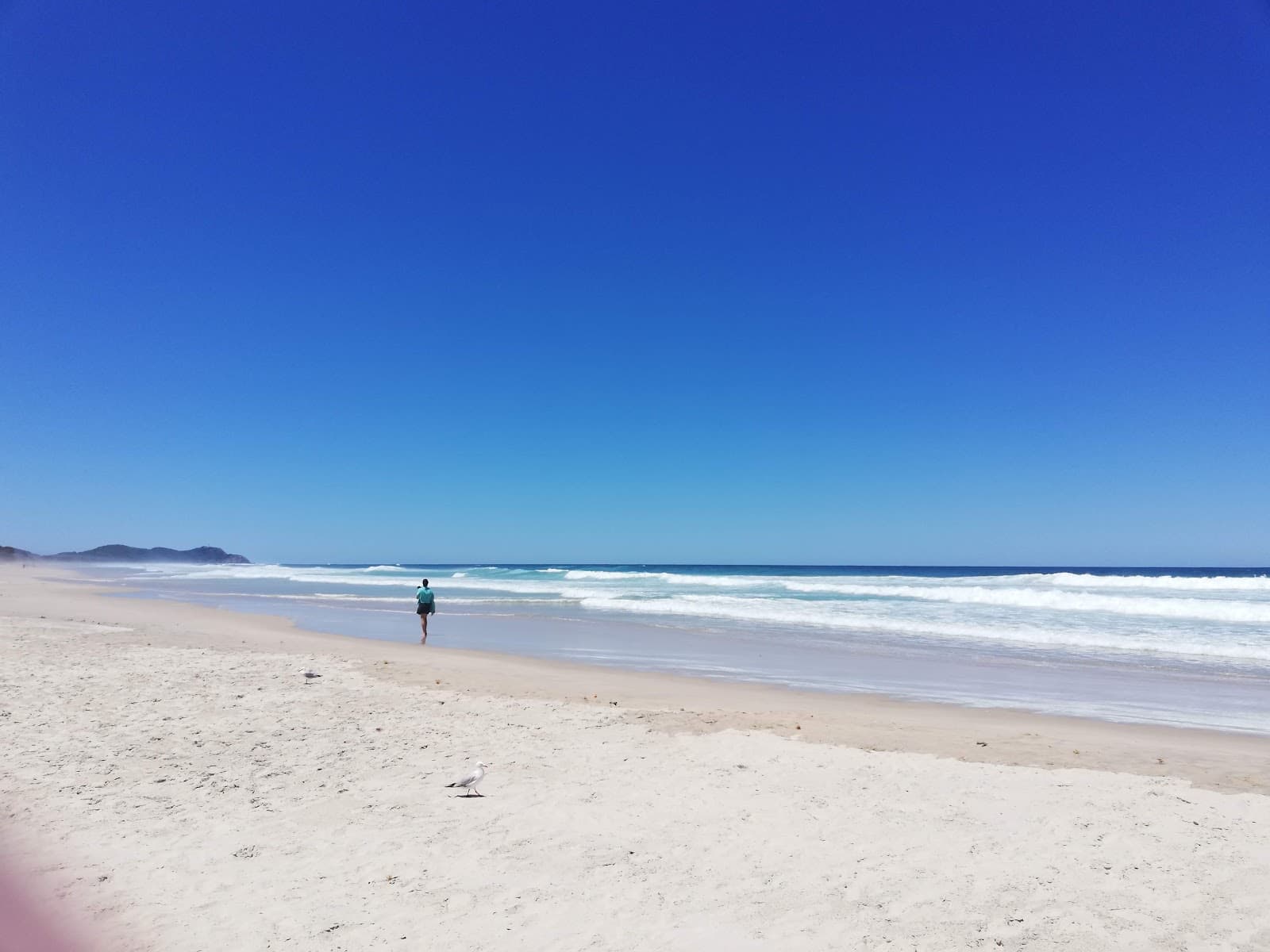 Gaggin Park — Newrybar, Byron Bay