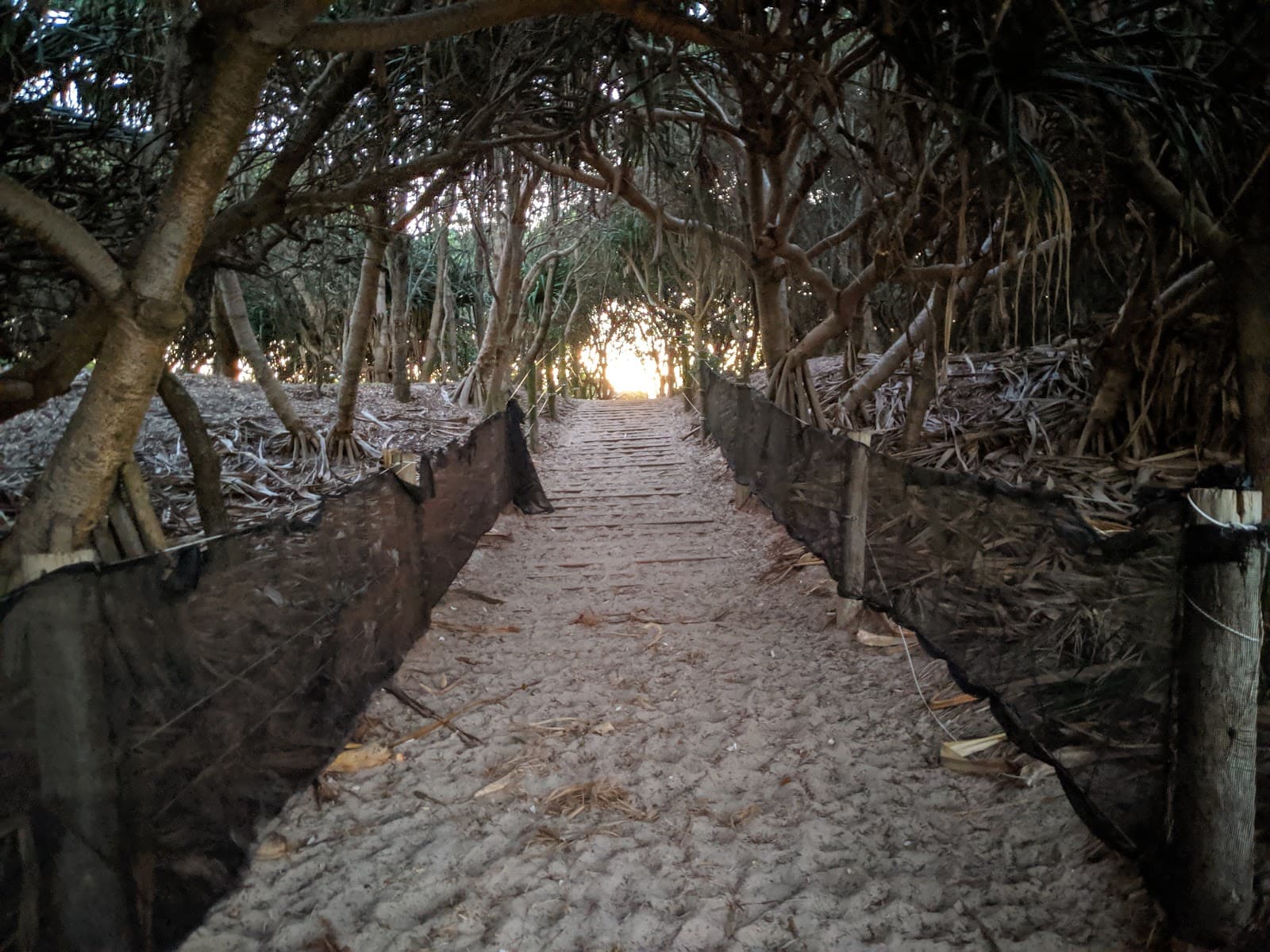 Gaggin Park — Newrybar, Byron Bay