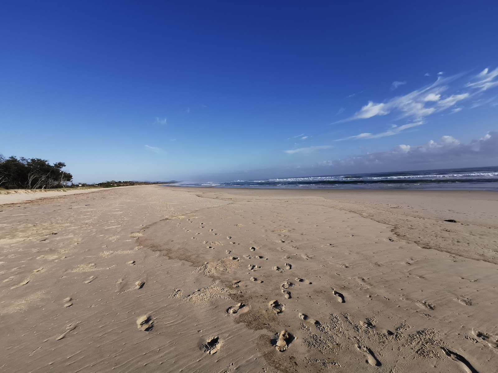 Cumbebin Swamp Nature Reserve — Newrybar, Byron Bay