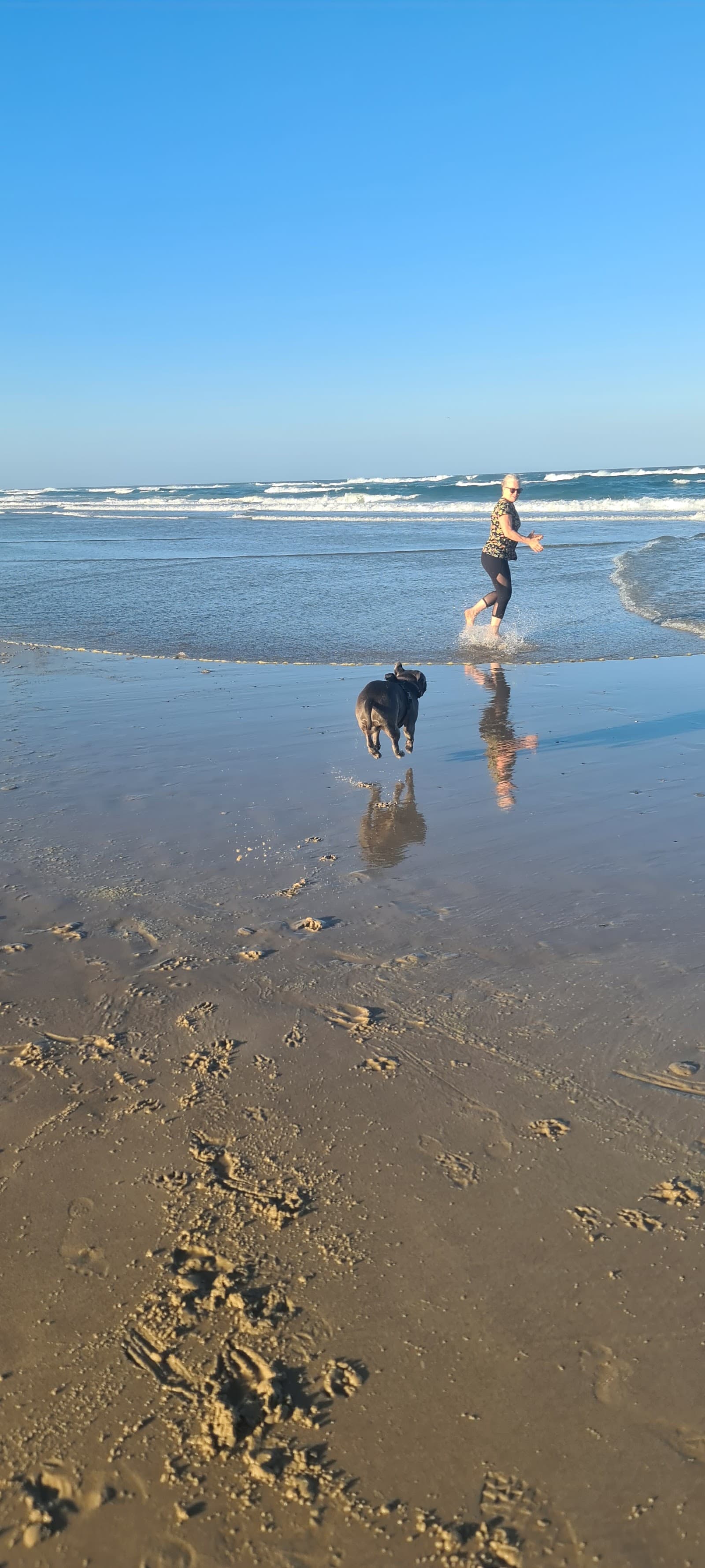 Tallow Beach Dog Exercise Area — Suffolk Park, Byron Bay