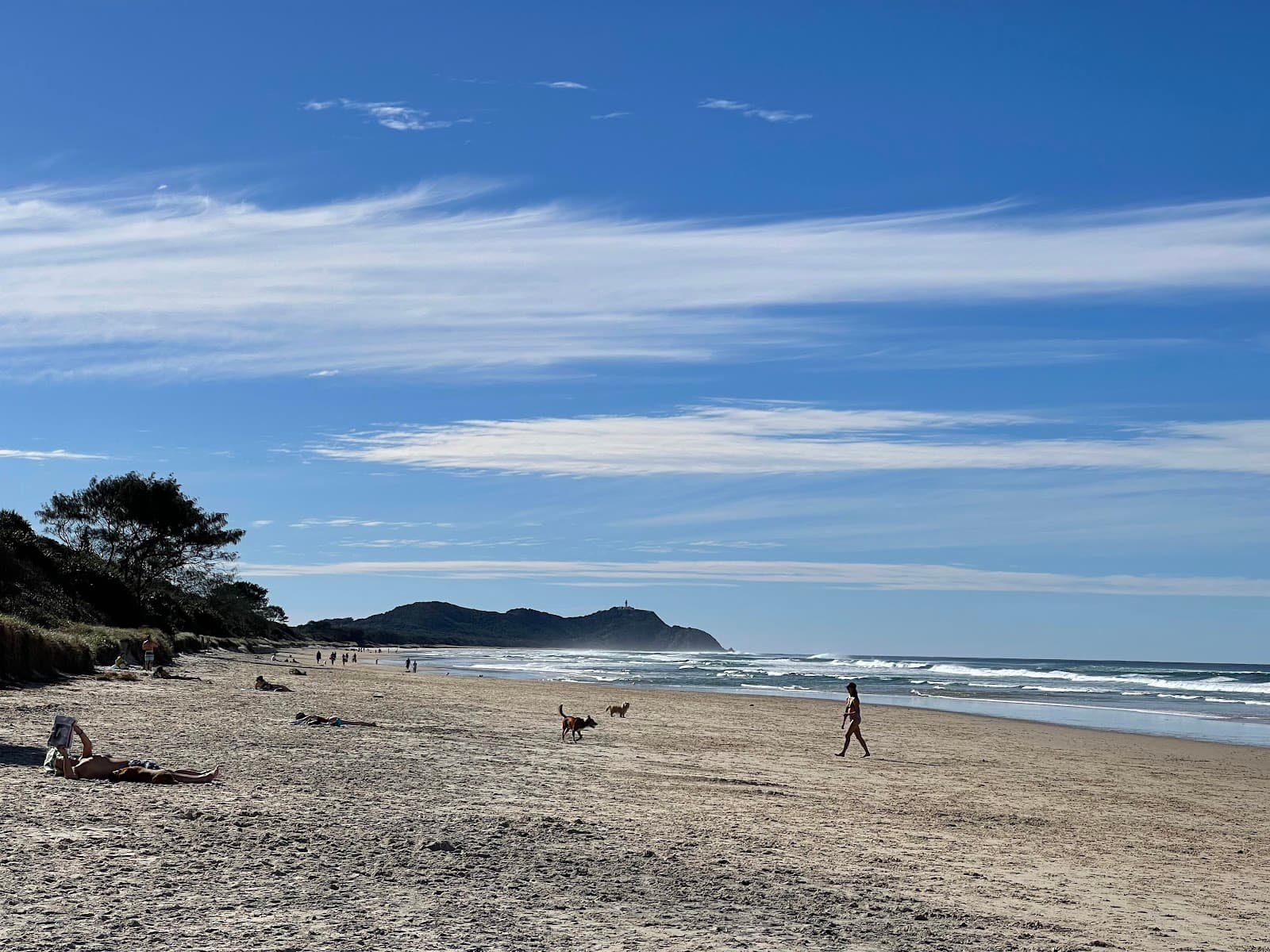 Tallow Beach Dog Exercise Area — Suffolk Park, Byron Bay