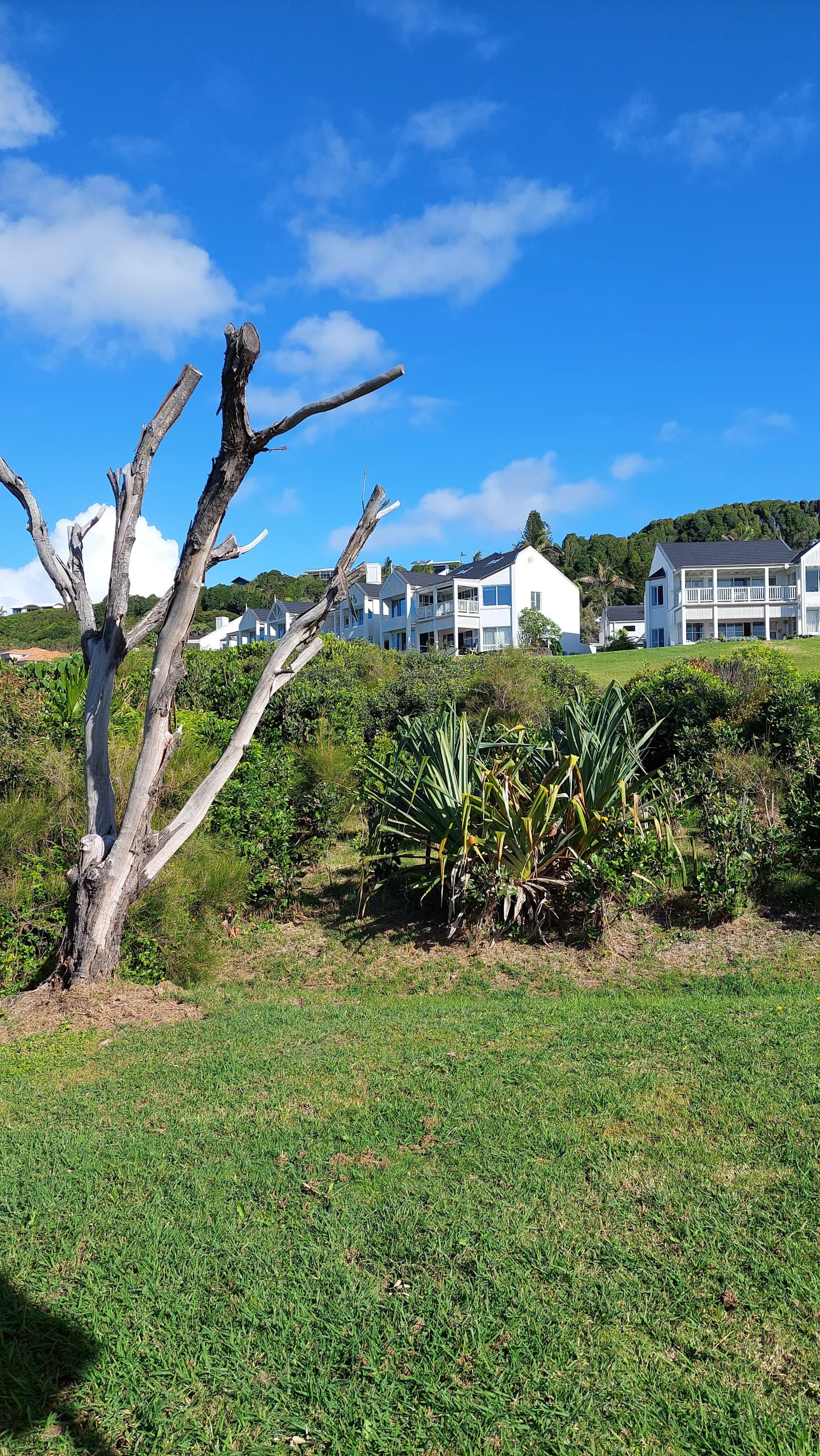 Lennox Point — Lennox Head, Byron Bay