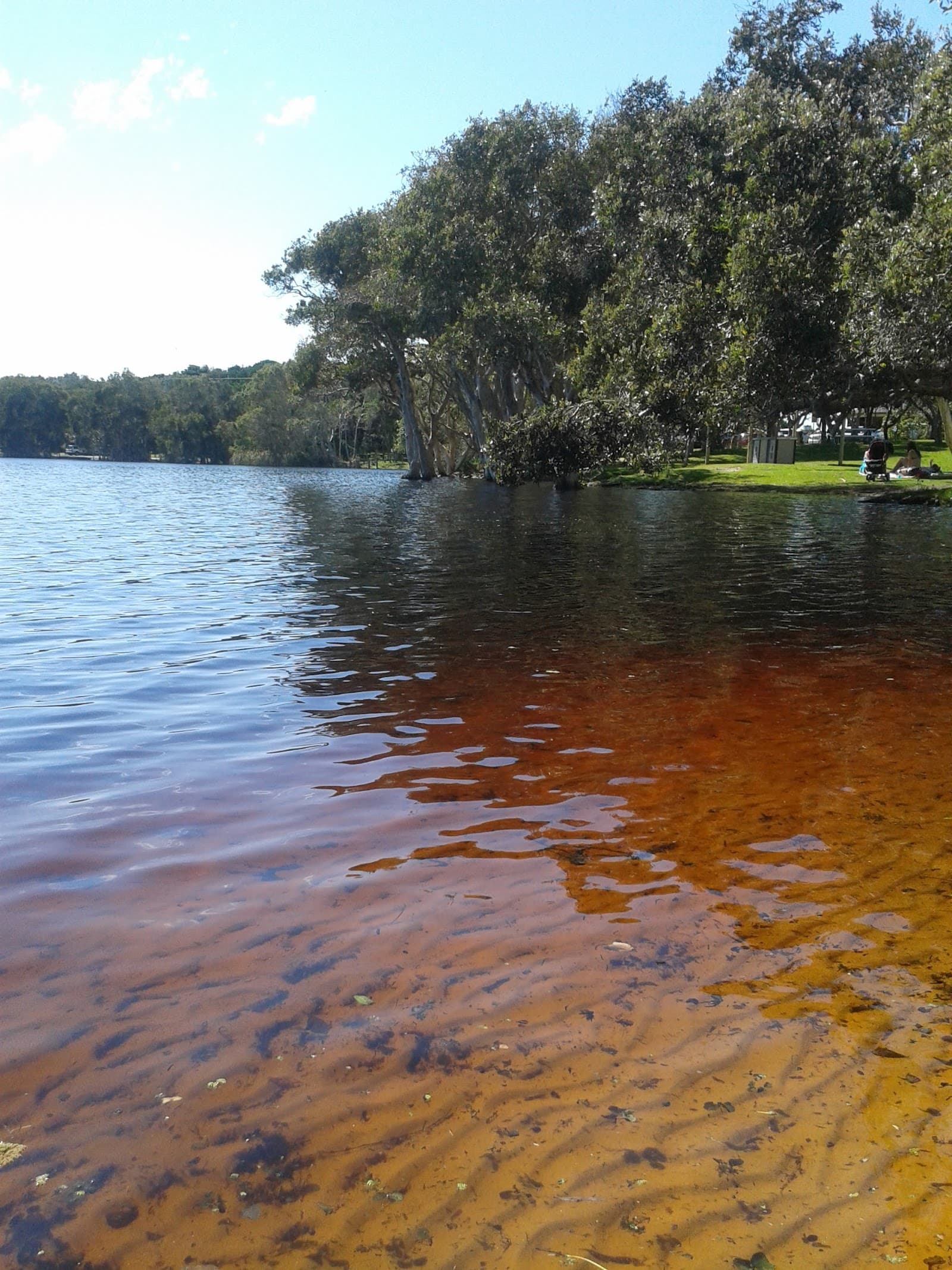 Williams Reserve — Lennox Head, Byron Bay