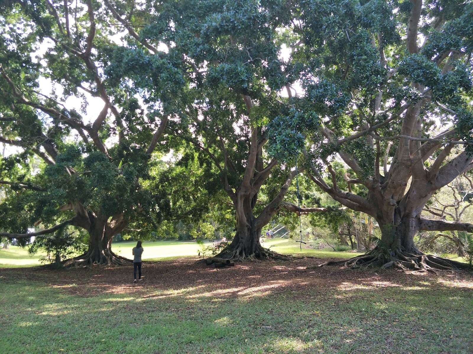 Brunswick Valley Heritage Park — Newrybar, Byron Bay