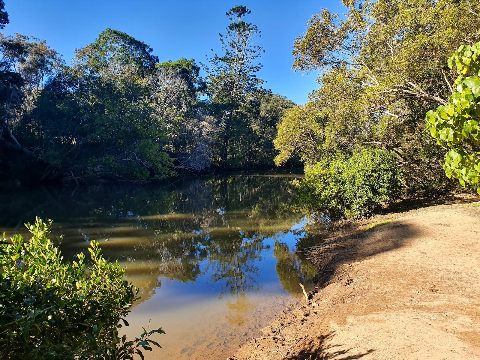 Brunswick Valley Heritage Park — Newrybar, Byron Bay