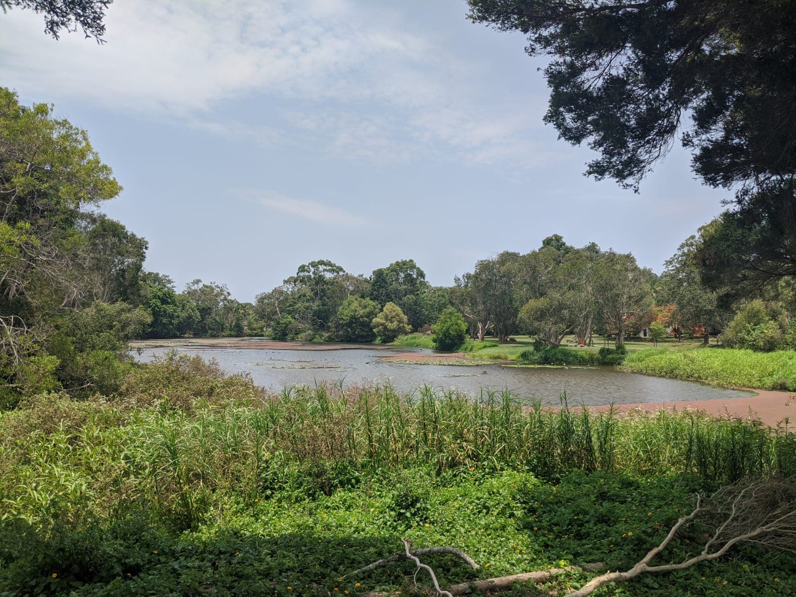 Waterlily Park — Ocean Shores, Byron Bay