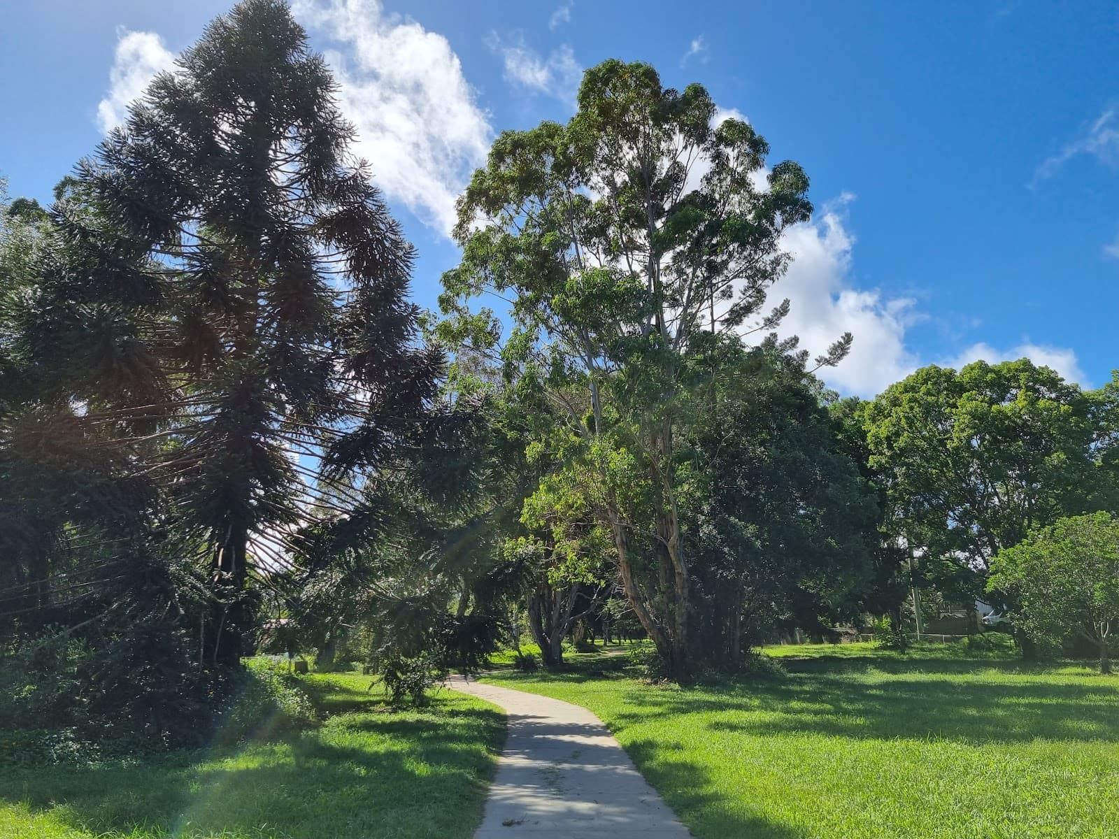 Waterlily Park — Ocean Shores, Byron Bay