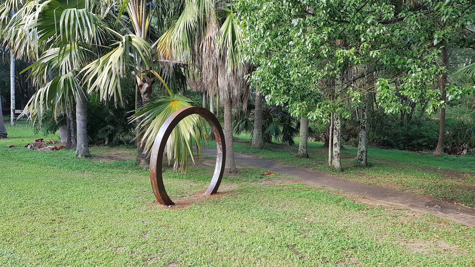 Palm Park — Mullumbimby, Byron Bay