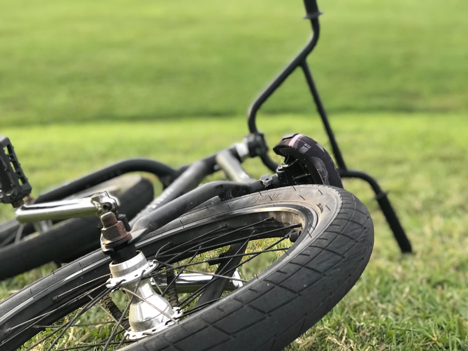 Mullumbimby Skate Park — Mullumbimby, Byron Bay