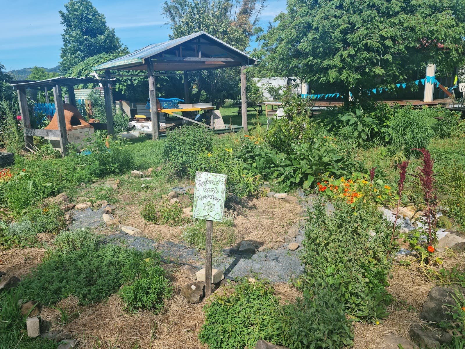 Mullumbimby Community Garden — Mullumbimby, Byron Bay