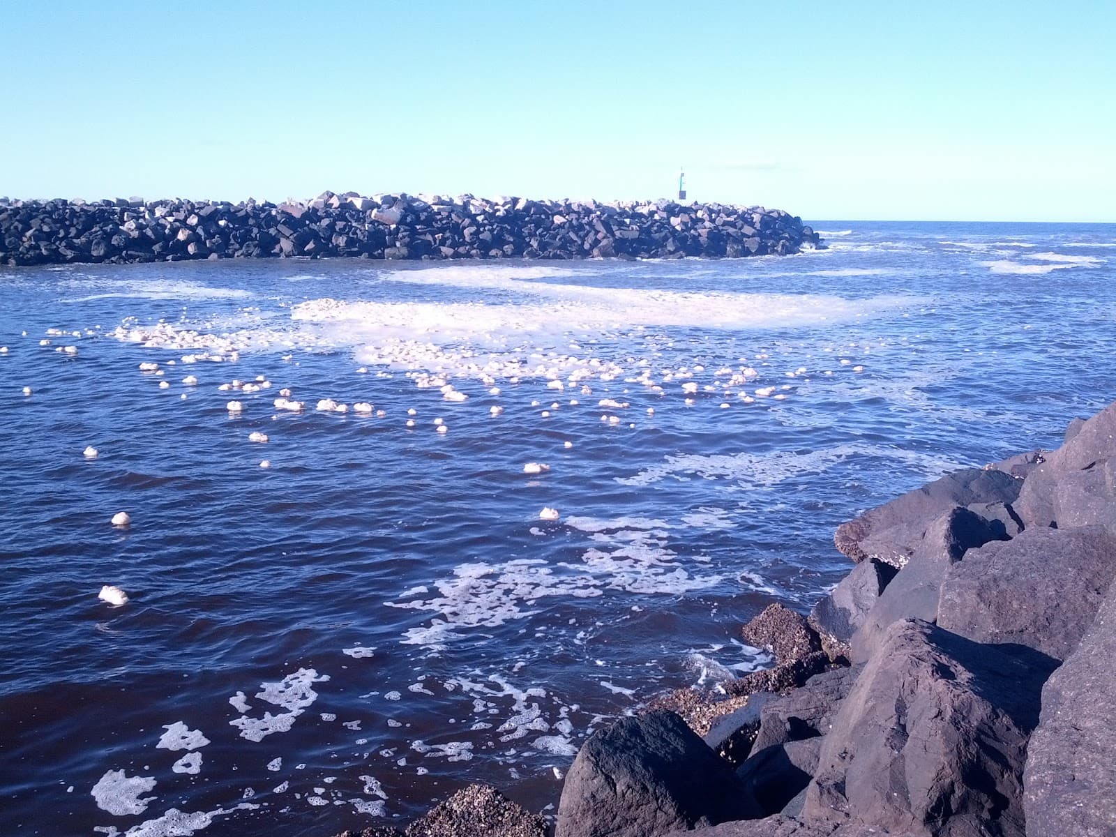 Brunswick Heads Nature Reserve — Mullumbimby, Byron Bay