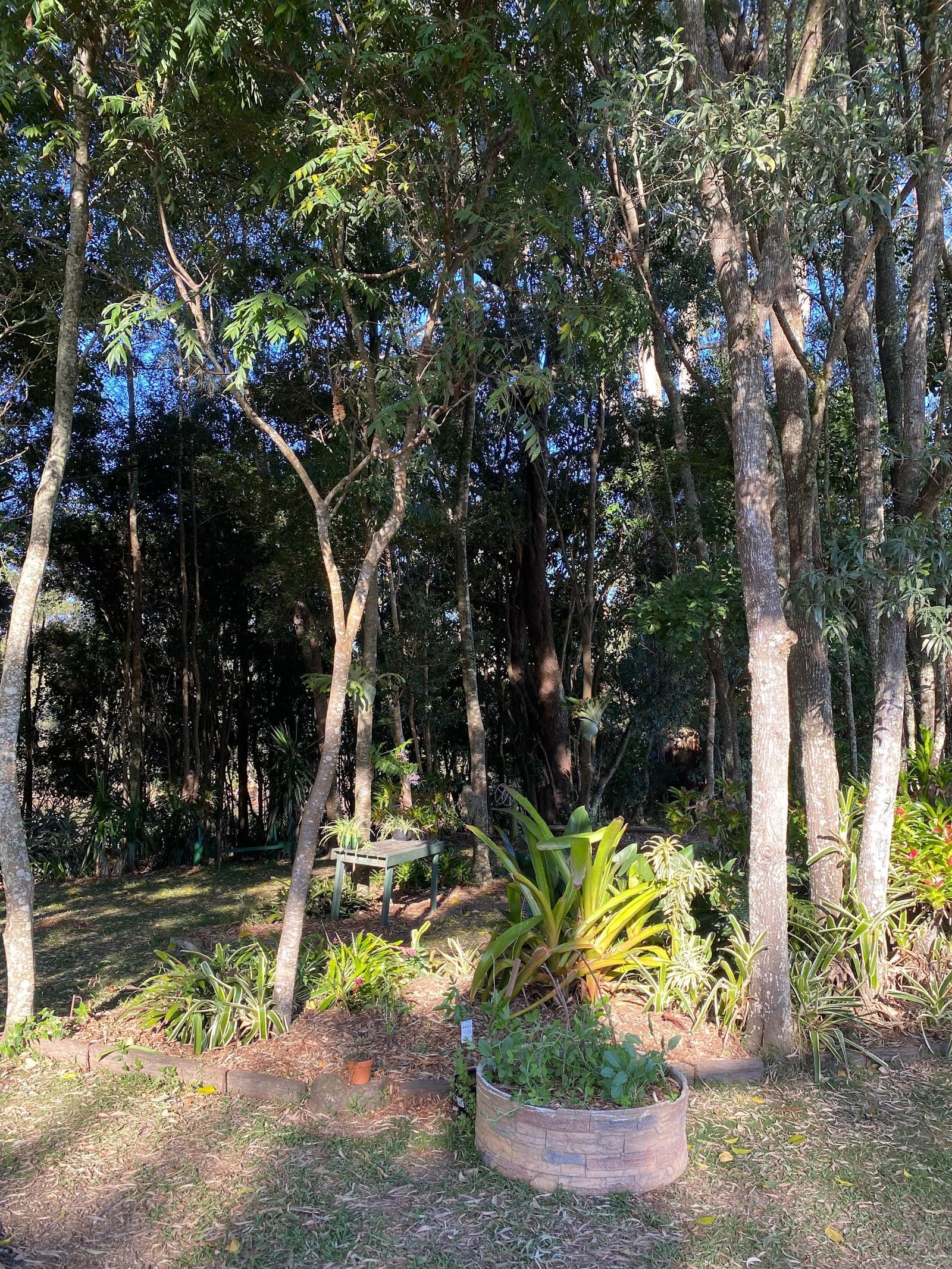 Mullumbimby Rugby League Football Club & Caravan Park — Mullumbimby, Byron Bay