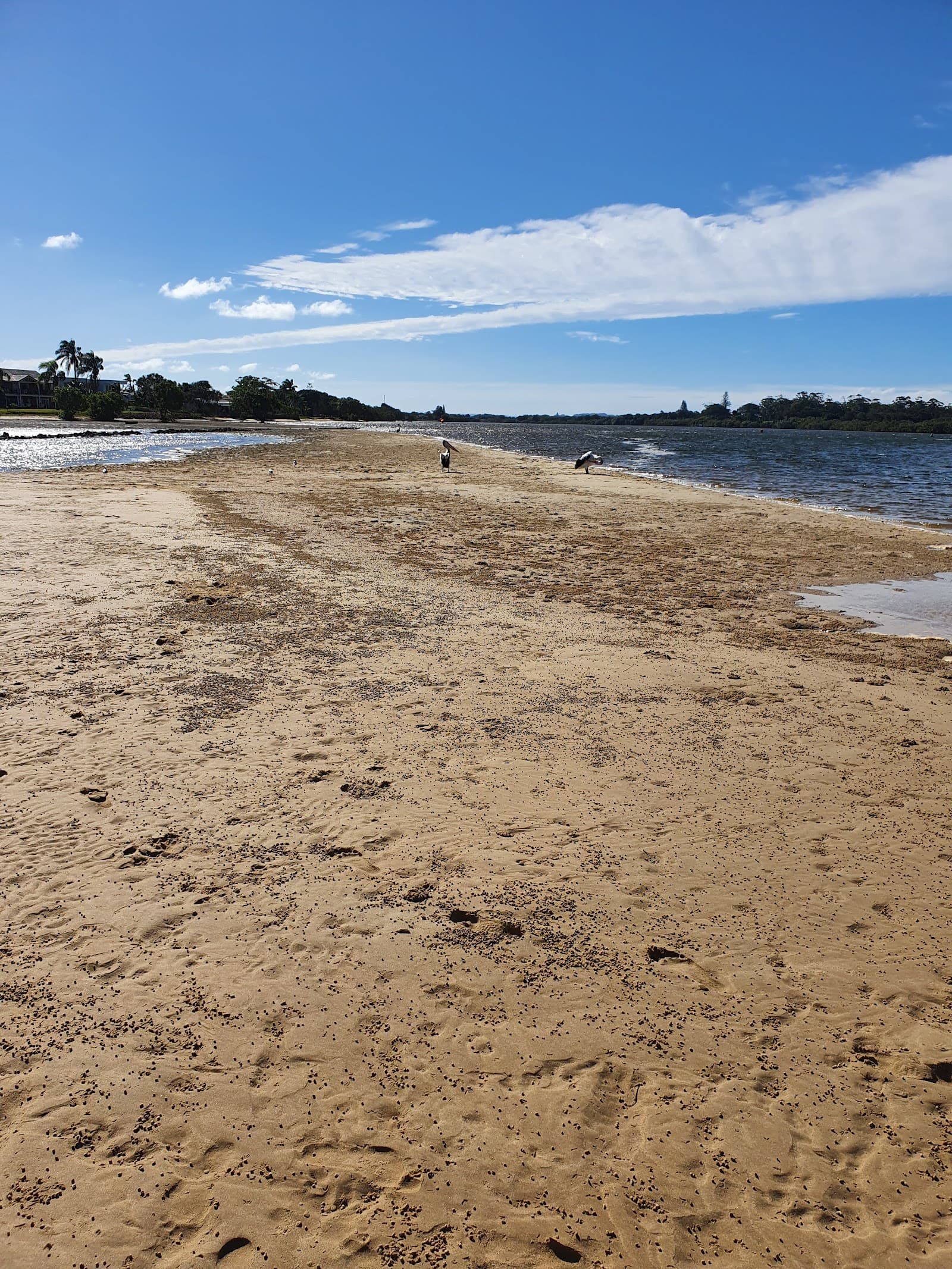 Meldrum Park — Newrybar, Byron Bay