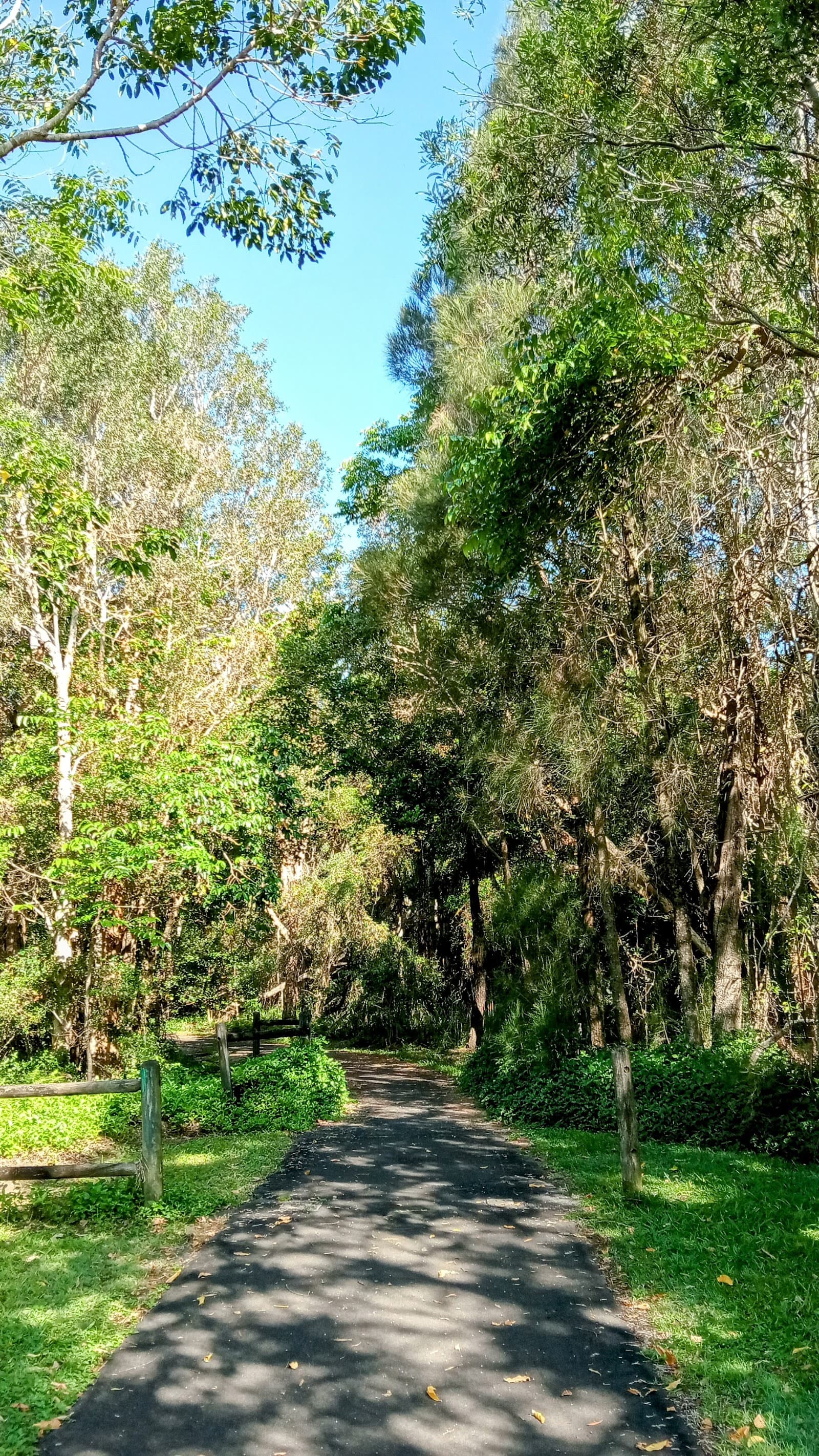 Chickiba Park — Ballina, Byron Bay