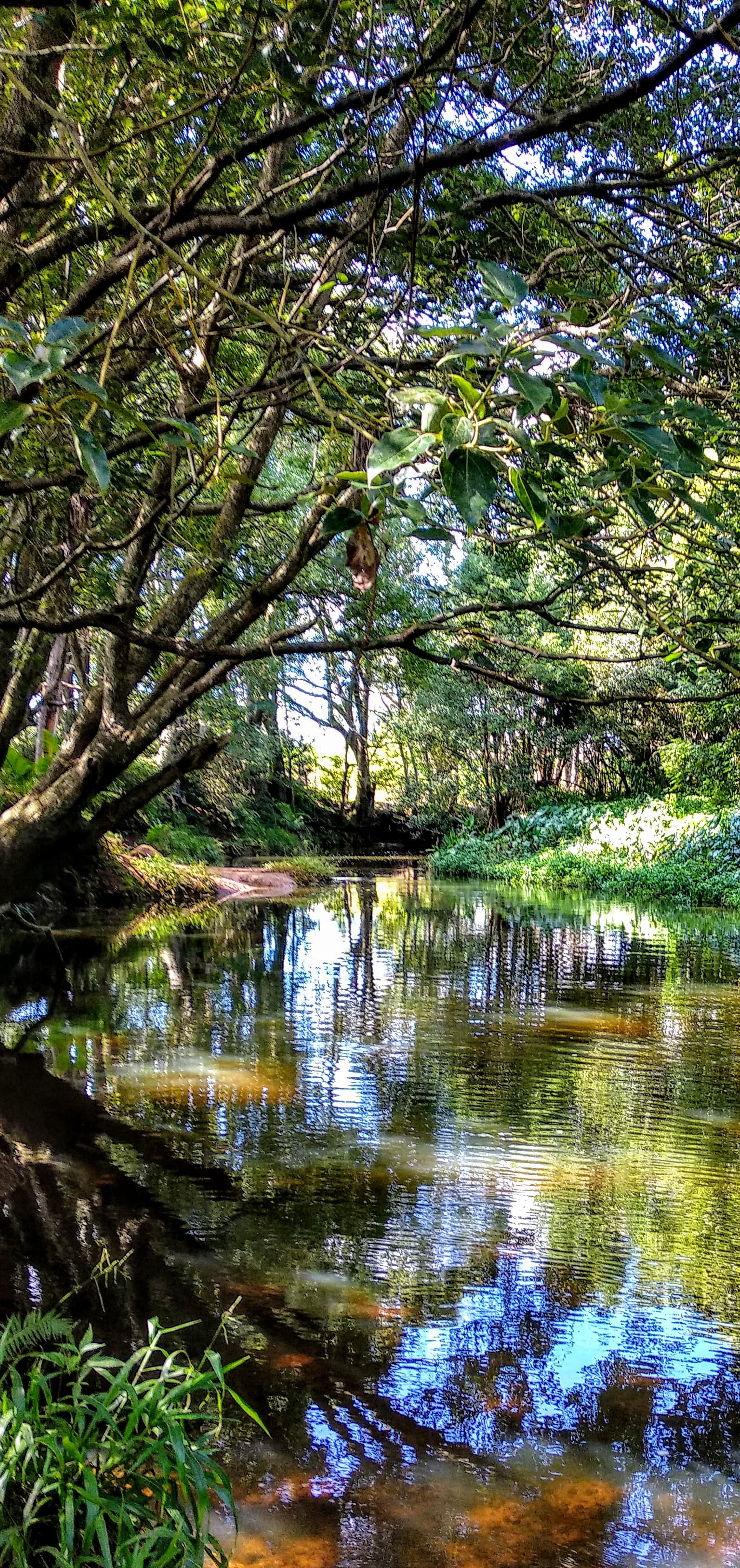 Children Playground - Piccabeen Park — Newrybar, Byron Bay