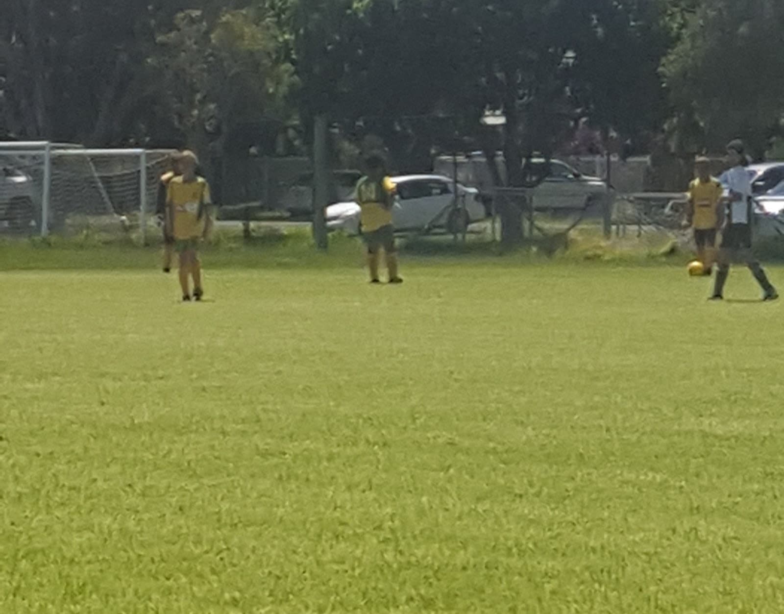 Byron Bay Recreational Grounds — Newrybar, Byron Bay