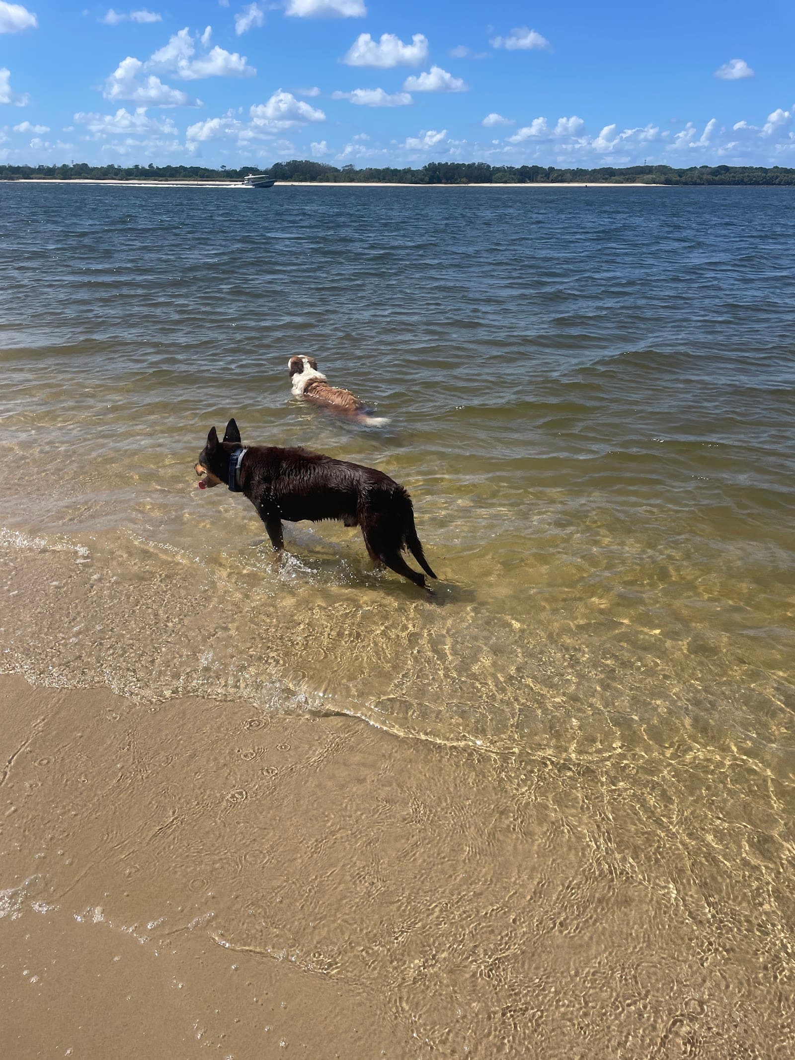 Missingham Beach — Ballina, Byron Bay