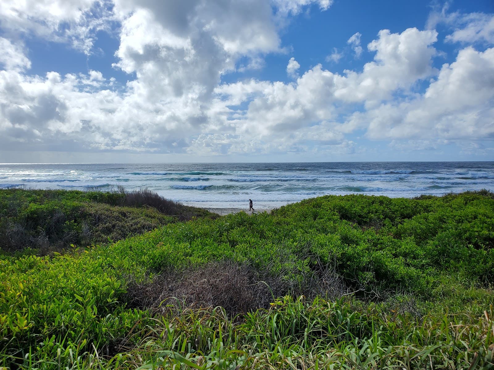 Shelly Beach — Ballina, Byron Bay