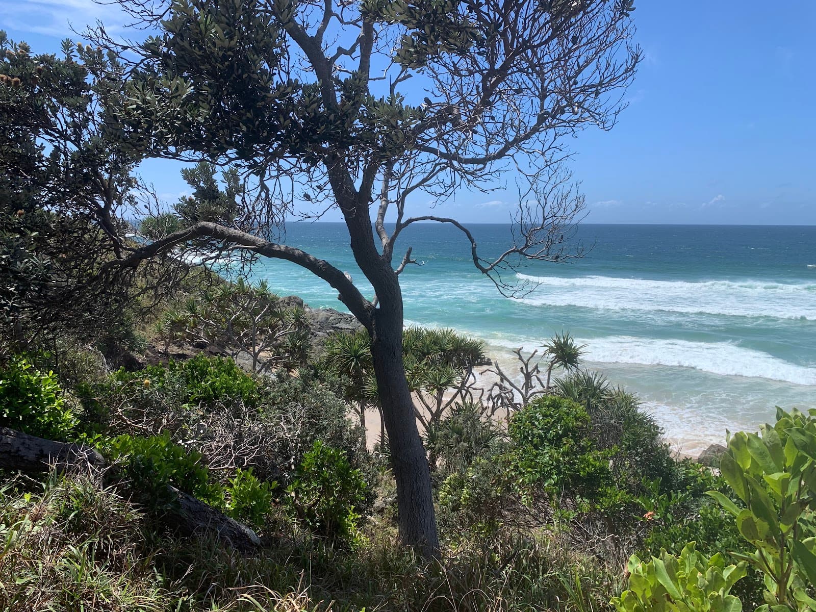 Kings Beach — Ocean Shores, Byron Bay