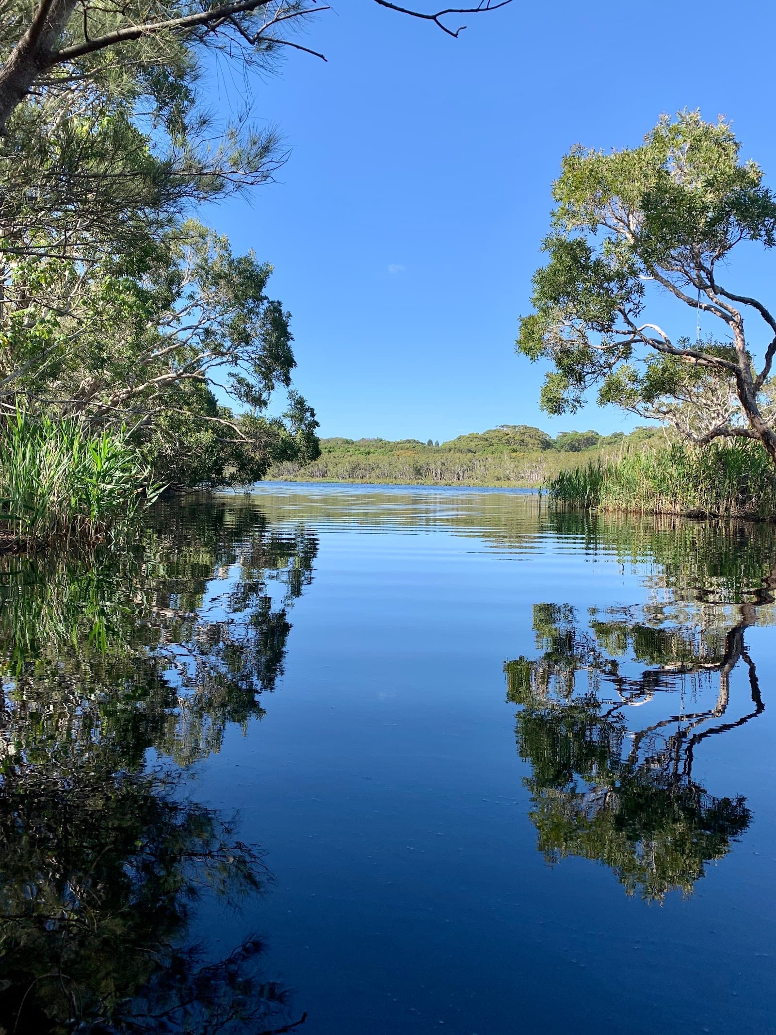 Ti-Tree Lake Aboriginal Area — Suffolk Park, Byron Bay